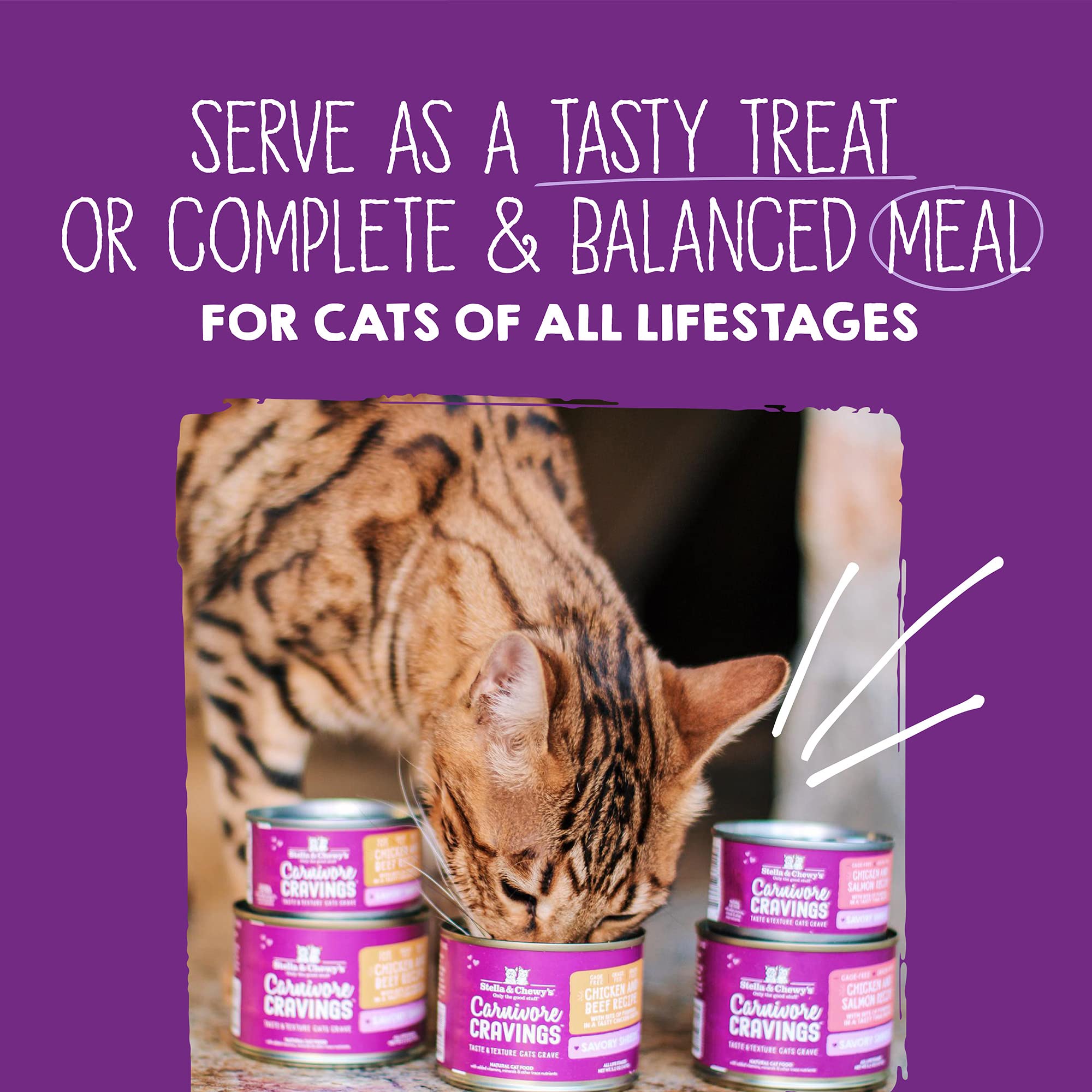 Stella & Chewys Carnivore Cravings Savory Shreds Canned Wet Cat Food Variety Pack - (2.8 Ounce Cans, Case of 12)