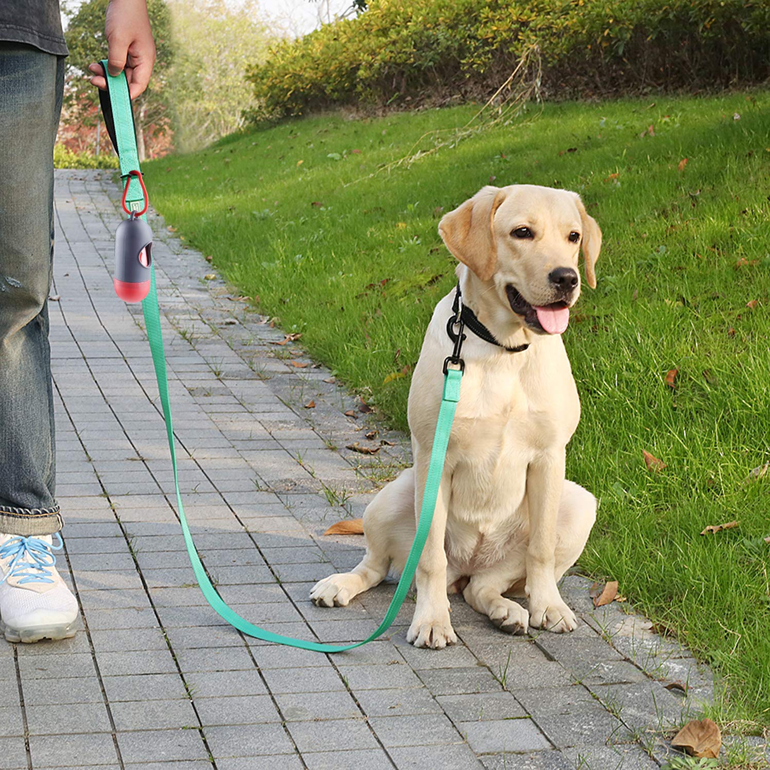Vivaglory Dog Training Leash With Padded Handle, Heavy Duty 6Ft Long Reflective Nylon Leash Walking Lead For Medium To Large Dogs, Green