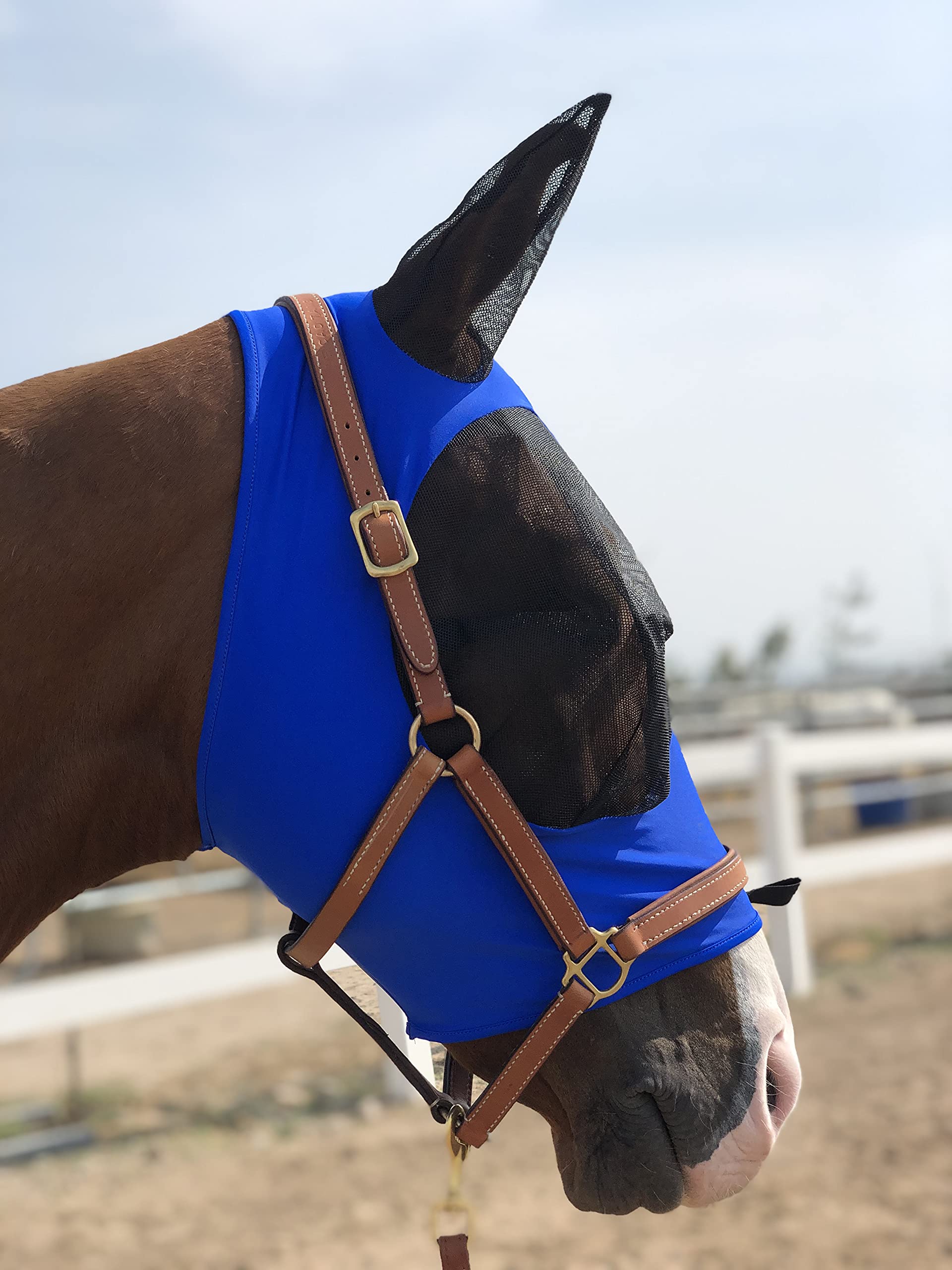 Horse Fly Mask Super Comfort Horse Fly Mask Elasticity Fly Mask with Ears We Only Make Products That Horses Like (Royal Blue, M)