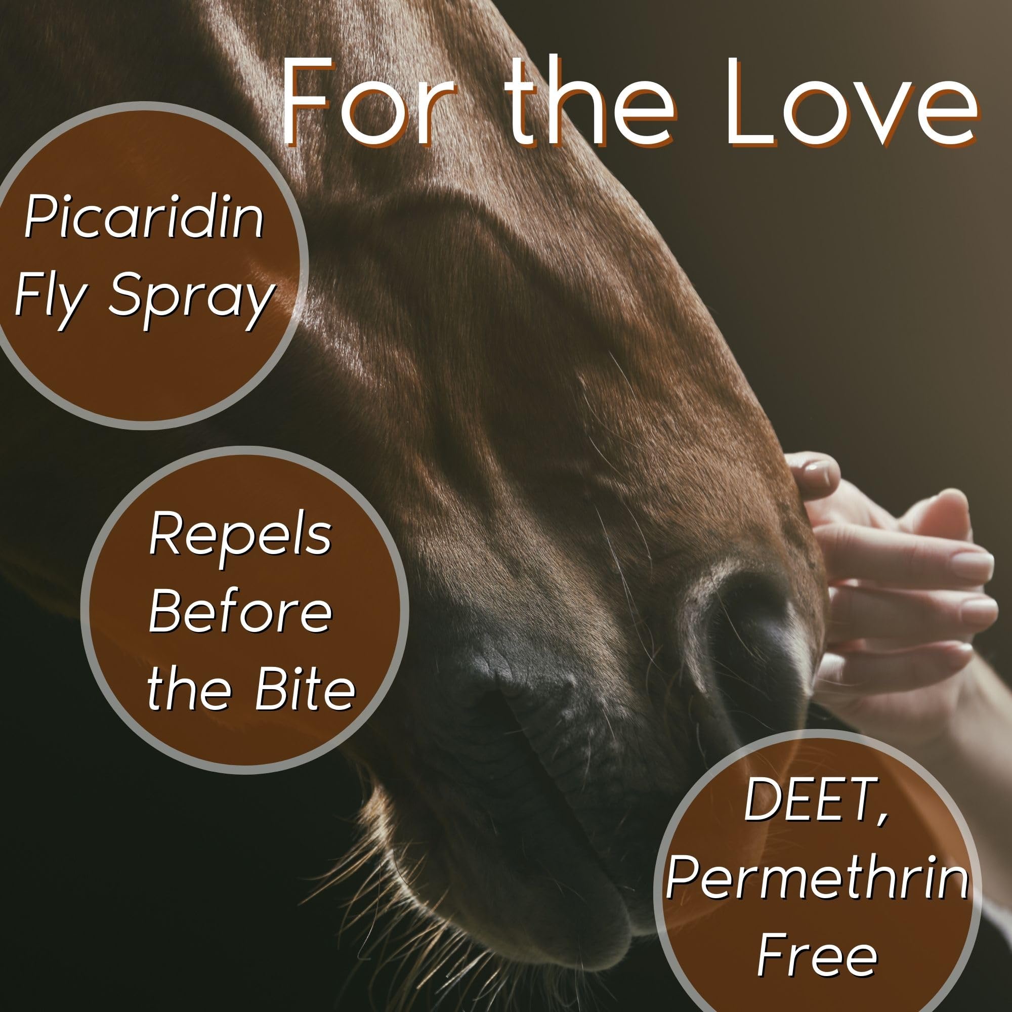 Zone Protects Horse & Rider Insect and Fly Repellent - 10oz Continuous Spray + 8oz Refill Combo, Picaridin-Based, DEET-Free, Per