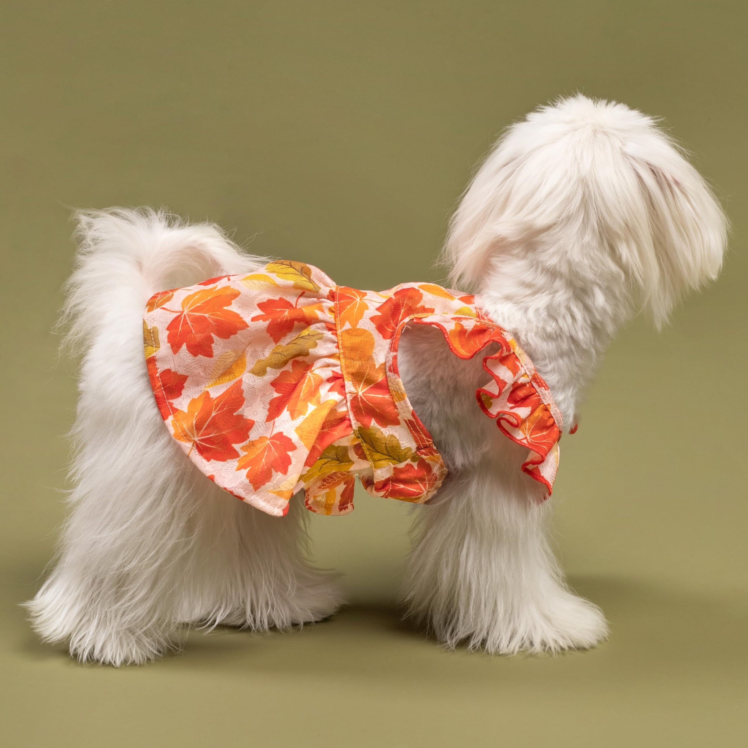 Fitwarm Maple Dog Dress, Ruffled Doggy Thanksgiving Dress, Fall Dog Clothes For Small Dogs Girl, Pet Outfit, Red, Orange, Medium