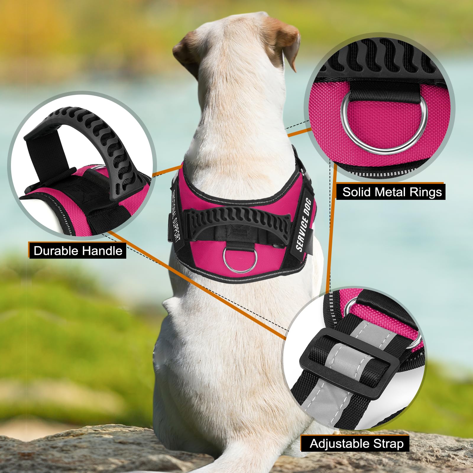 Service Dog Vest Harness + 50 ADA Information Cards + 4 Dog Patches, Animire Reflective Emotional Support Dog Vest with Sturdy H