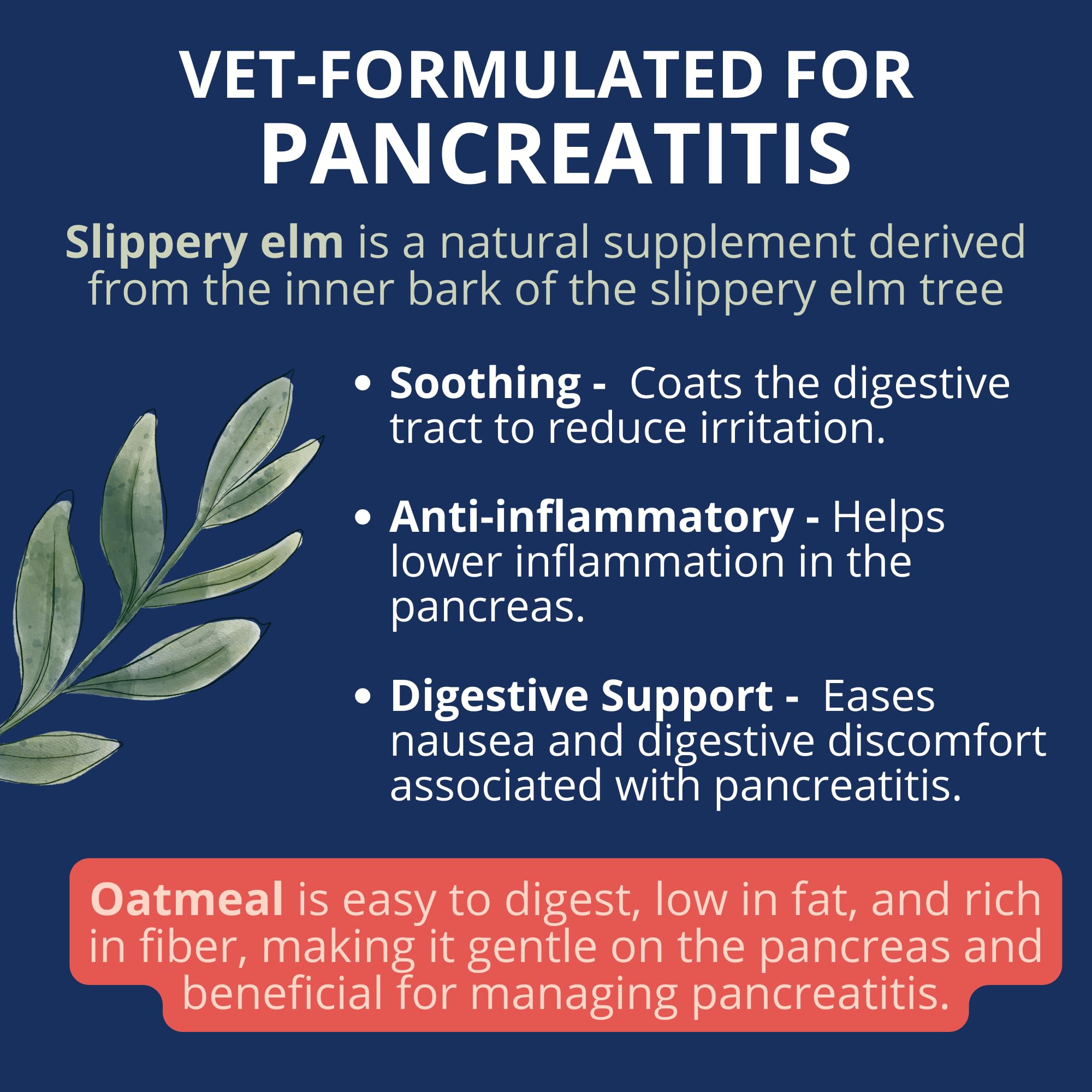 Under the Weather Bland Diet for Dogs | Easy to Digest Stomach Support for Sick Dogs | Contains Electrolytes, All Natural | 2 Pa