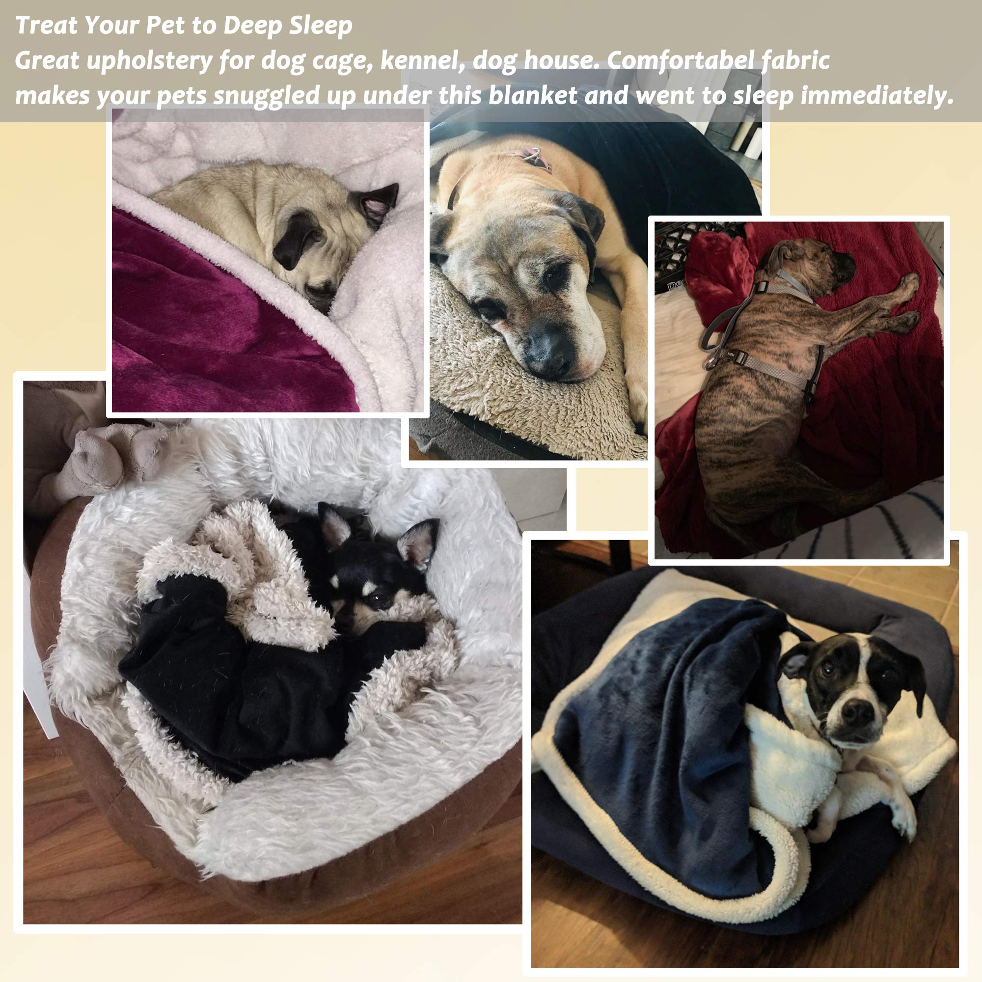Large Dog Blanket, Super Soft Fluffy Sherpa Fleece Dog Couch Blankets And Throws For Large Medium Small Dogs Puppy Doggy Pet Cats, 50X60 Inches