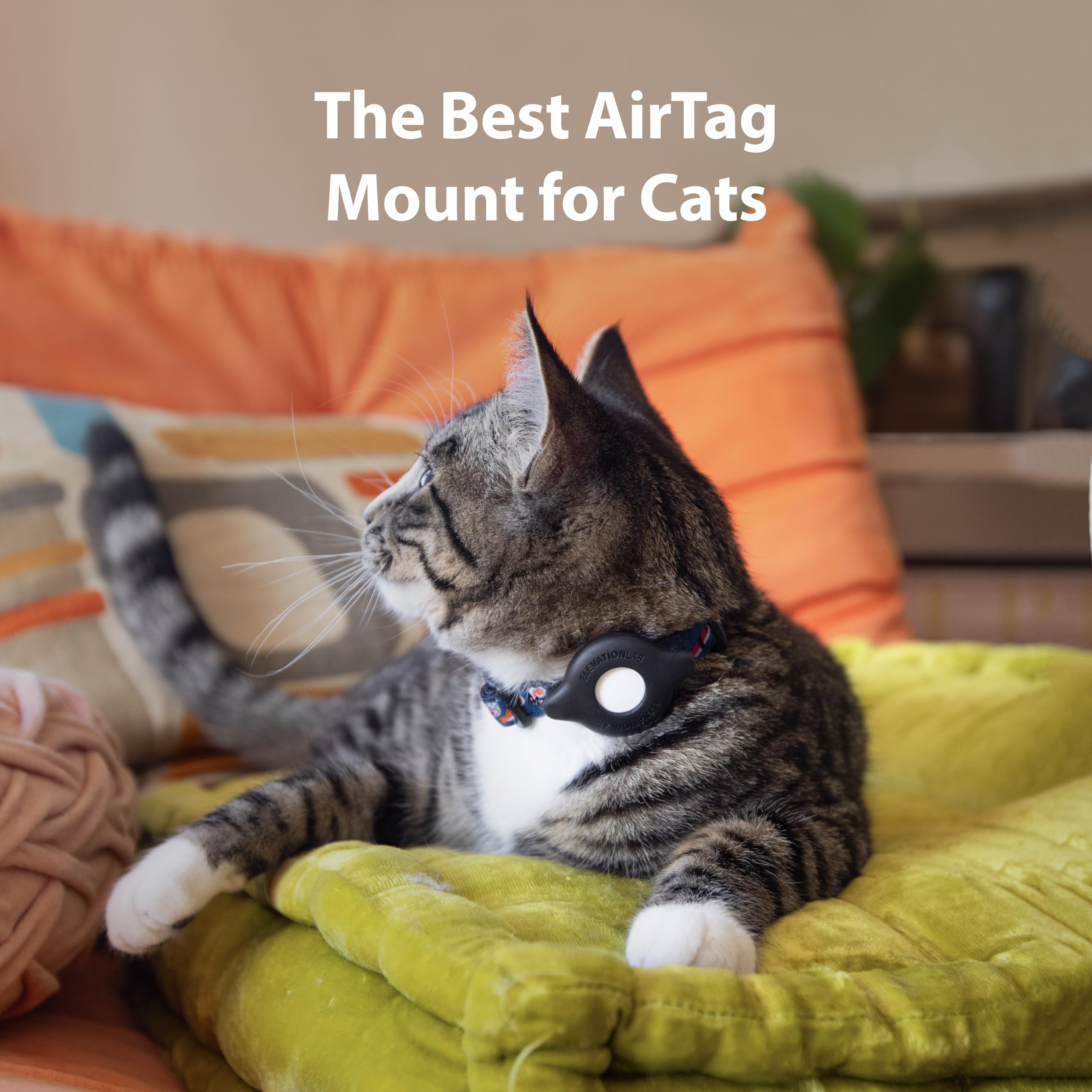 Elevation Lab Tagvault Airtag Cat Collar Mount - The Secure Airtag Collar Holder | Doesn'T Dangle, Great For Small Dogs Too