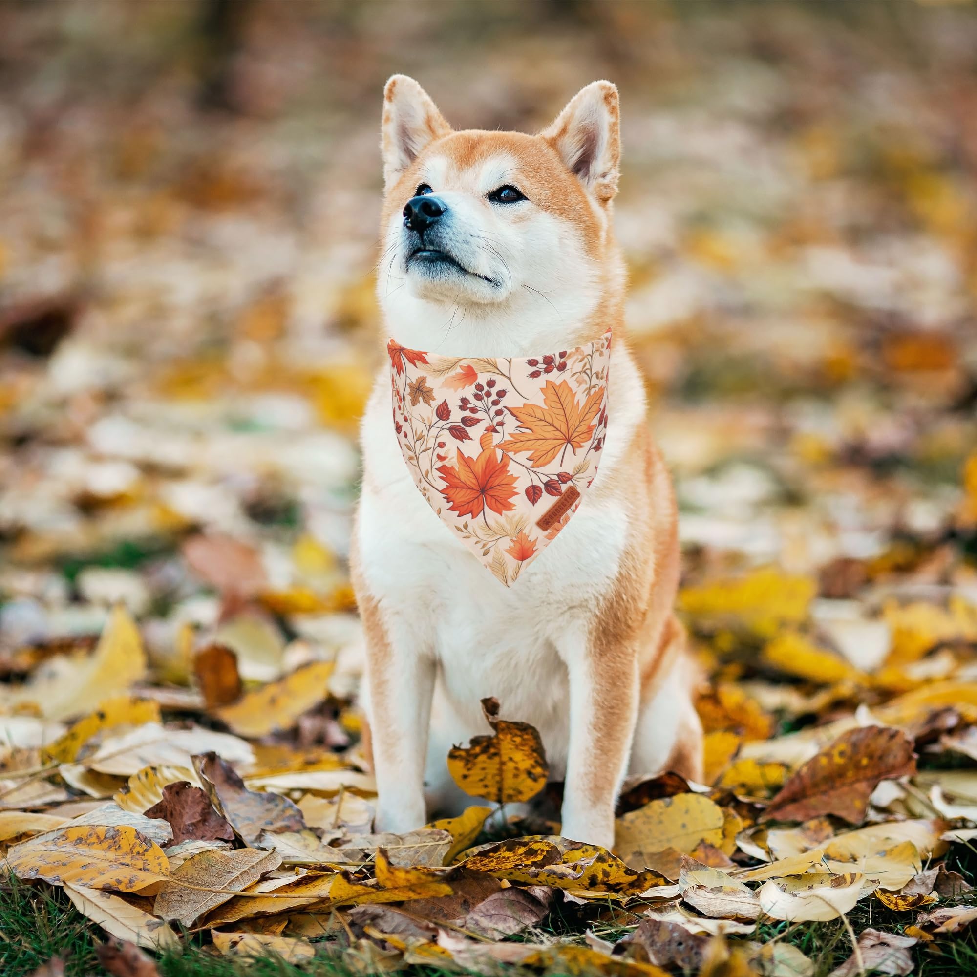 ADOGGYGO Fall Dog Bandana, Pumpkin Maple Leaf Autumn Thanksgiving Pet Scarf, Adjustable Fit Fall Bandanas for Medium Large Dogs