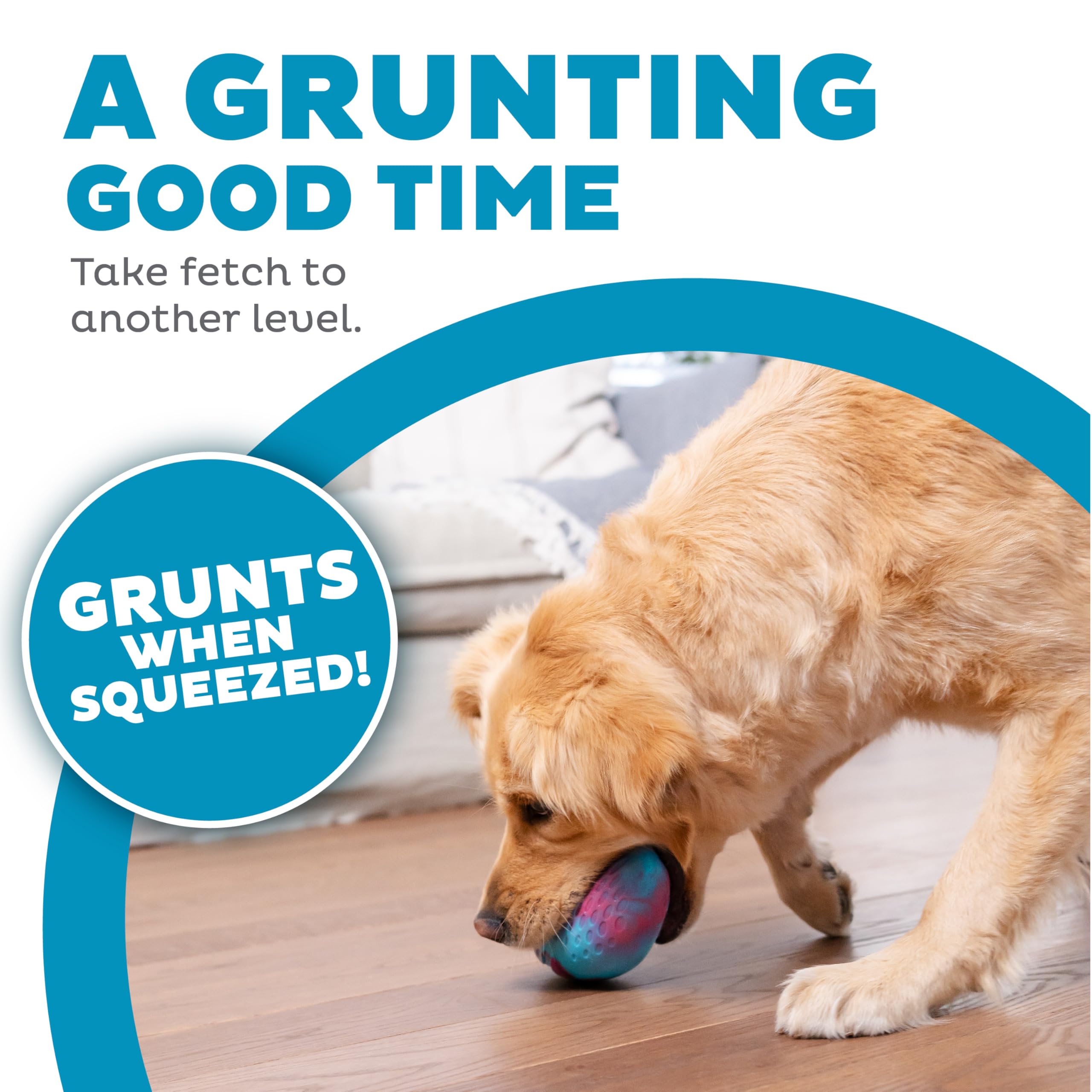 Outward Hound Grunt N Punt Football Dog Toy - Throwing, Fetching Fun