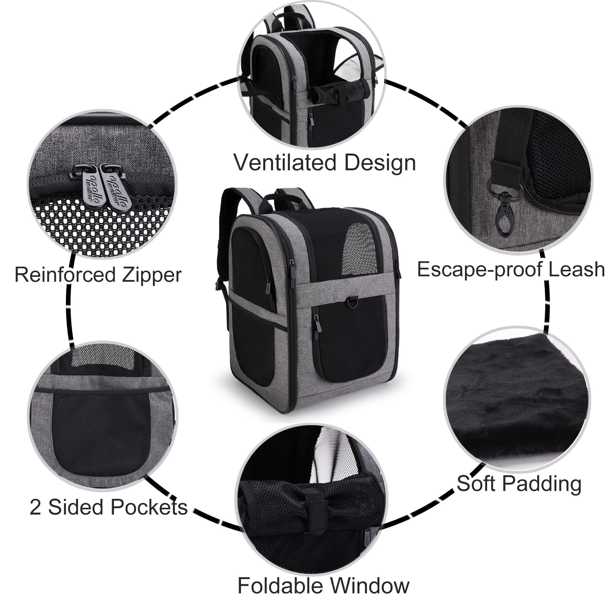 Apollo Walker Pet Carrier Backpack For Large/Small Cats And Dogs, Puppies, Safety Features And Cushion Back Support | For Travel