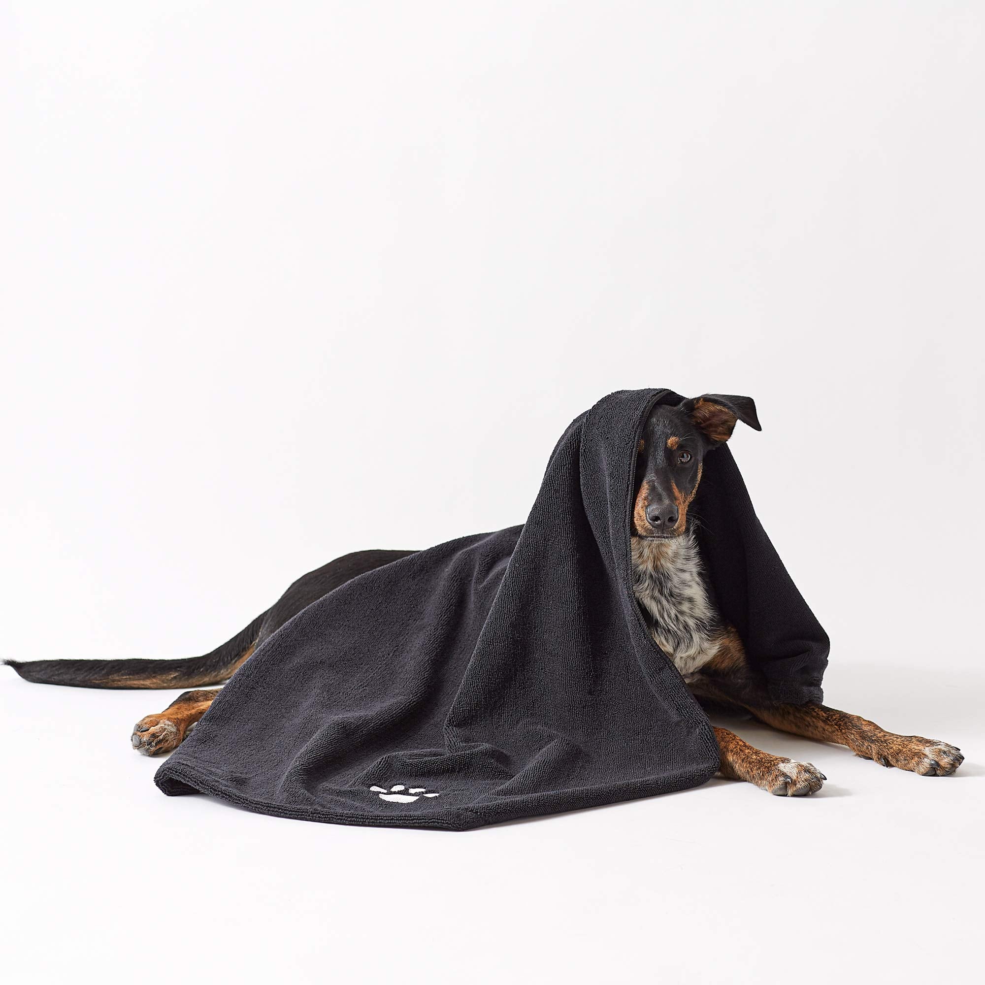 Bone Dry Pet Grooming Towel Collection Absorbent Microfiber X-Large, 41X23.5', Embroidered Black