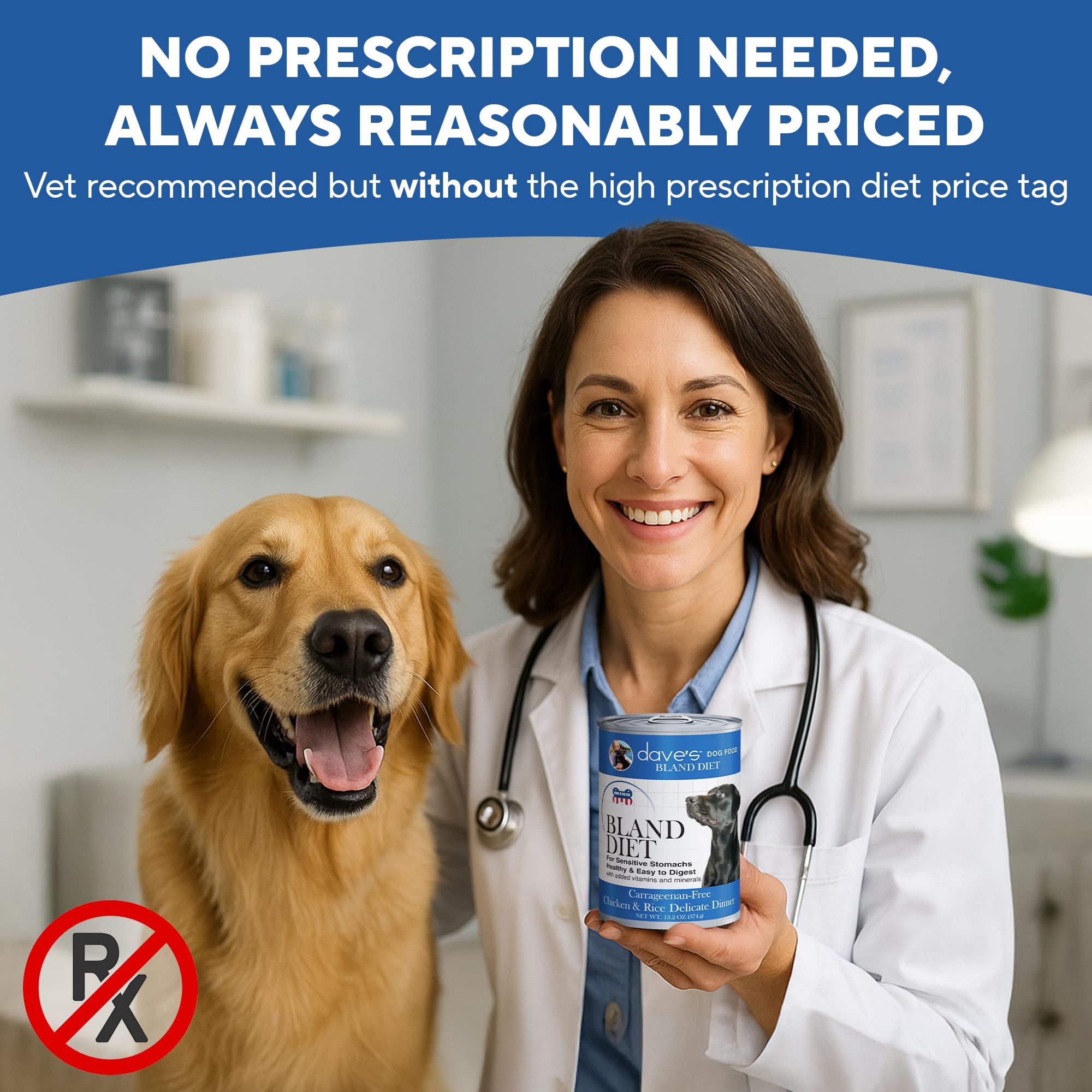 Daves Pet Food Bland Diet Dog Food (Chicken & Rice), Sensitive Stomach, Easy to Digest, Gluten-Free, Digestive Care, Wet Canned