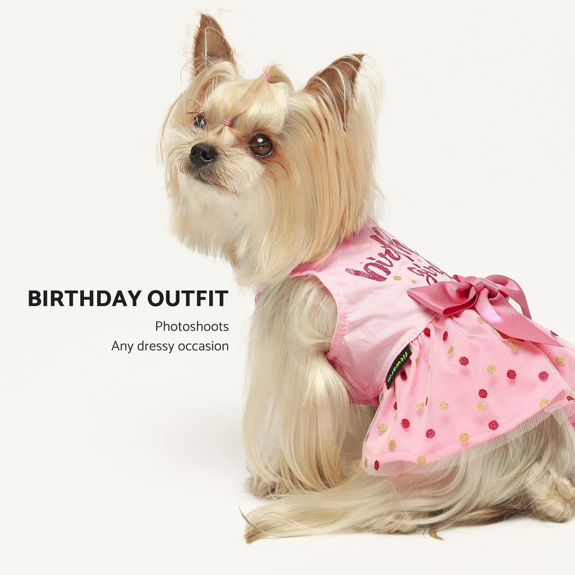 Fitwarm Birthday Girl Dog Tulle Dress, Dog Clothes For Small Dogs Girl, Cat Apparel, Pink, Medium