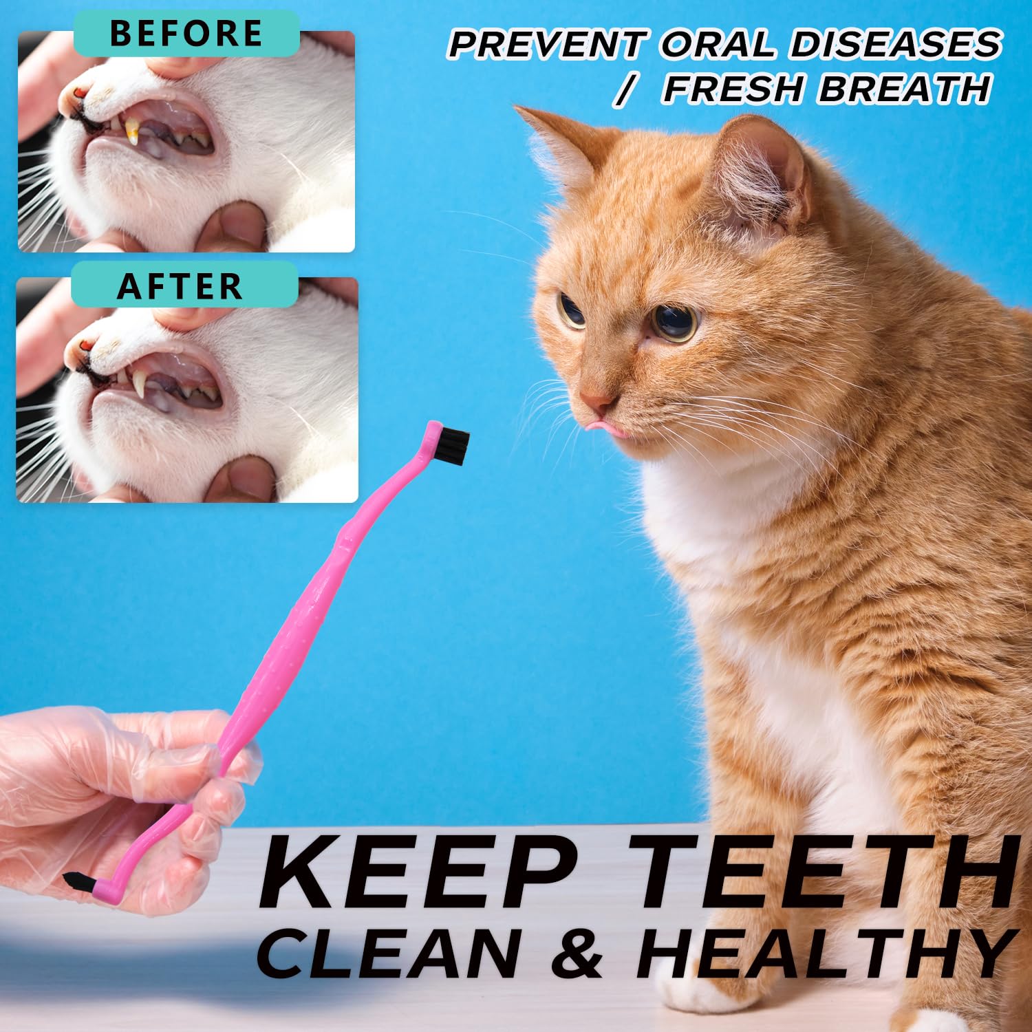 PenVinoo Dual Sided Cat Toothbrush Dog Toothbrush Finger Brush Micro Head to fit into Small to Large Dogs & Cats (Black, Small)