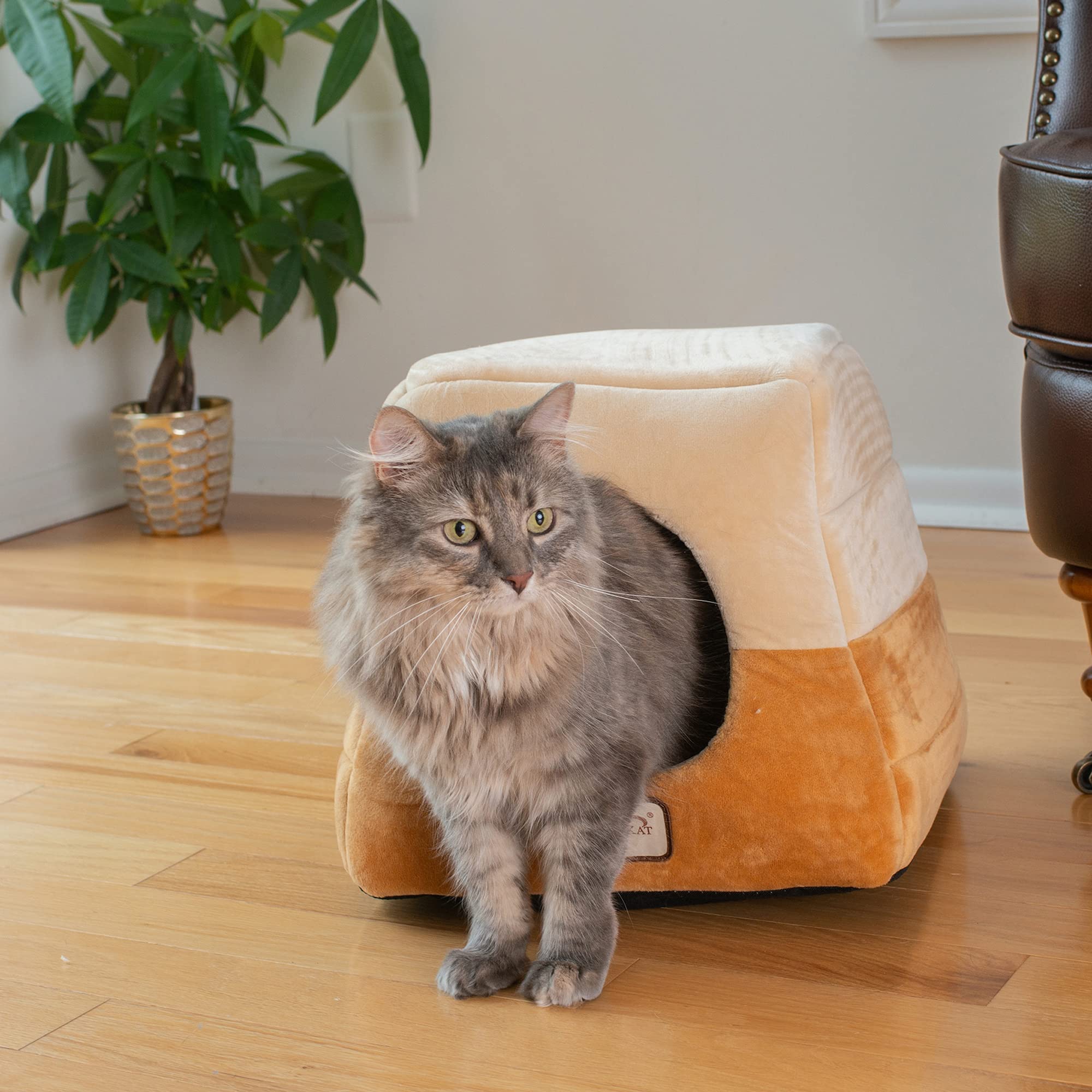 Armarkat 16-Inch by 16-Inch Cat Bed