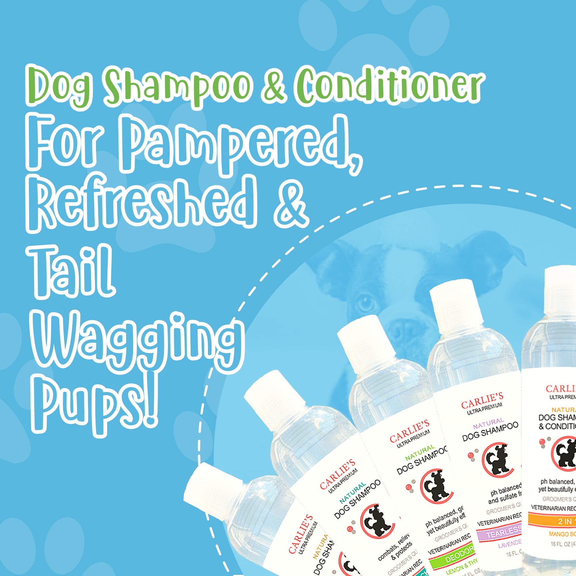 Scoochie Pets Dog Shampoo & Conditioner| Skin Soothing, Ph Balanced| Deodorizing, Moisturizing & Detangling Action| Hypoallergenic & Veterinarian Recommended Pet Grooming (Coconut - Oatmeal & Aloe)