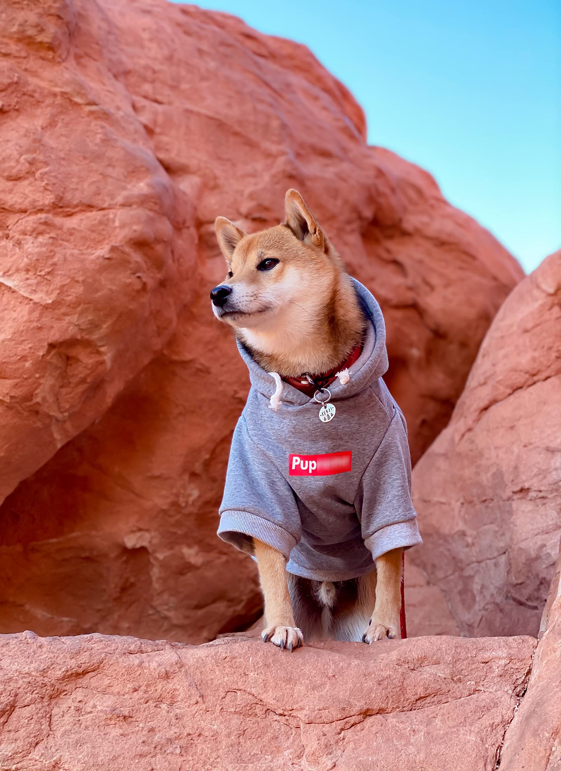 Chochocho Pup Dog Hoodie, Cat Hoodies - Stylish Streetwear Sweatshirt, Cotton Pet Clothing For Dog Cat Puppy Small Medium Large