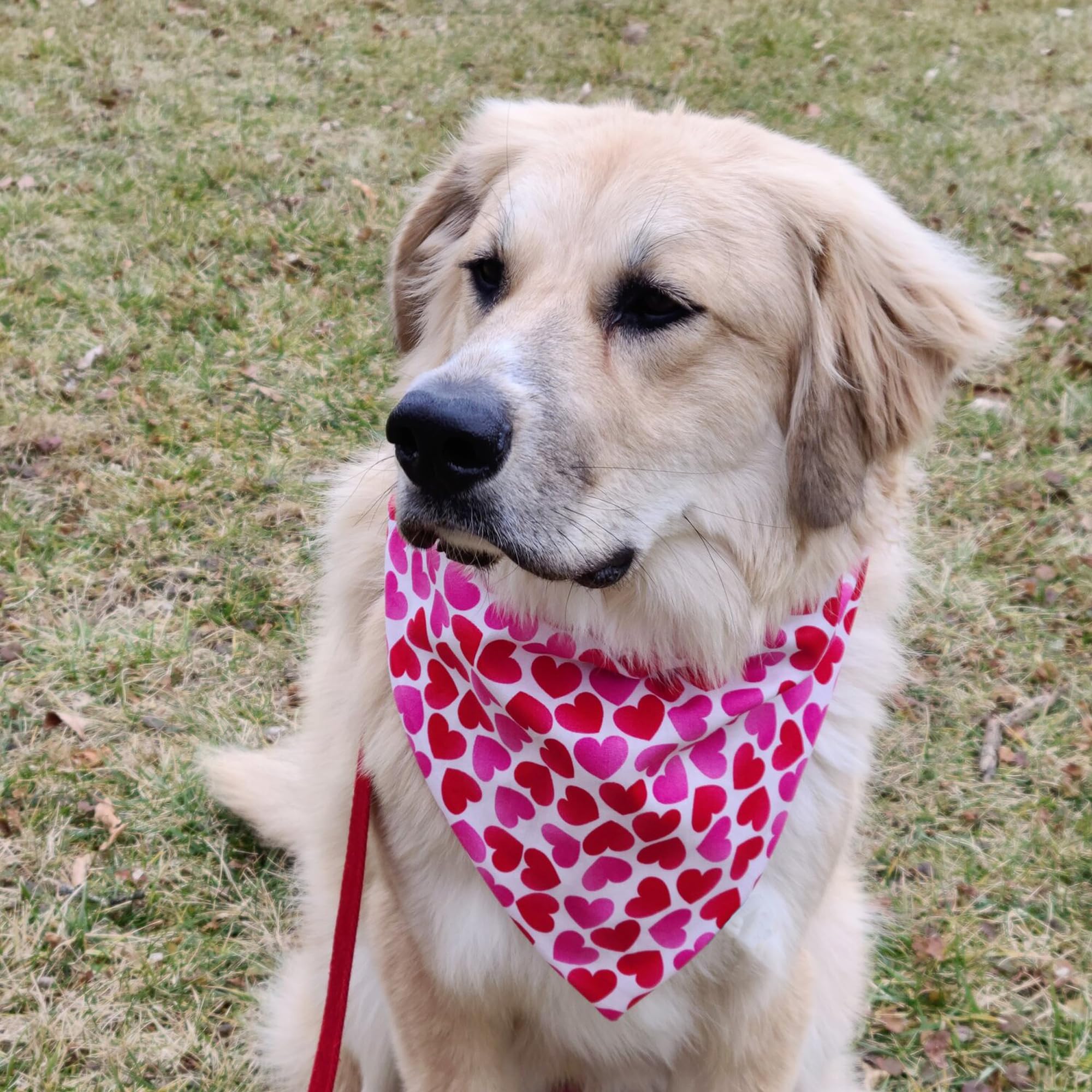 Mother'S Day Dog Bandanas 2 Pack, Gradient Pink Hearts Pet Scarves For Birthday Gifts Bandanas Bulk For Small Dogs (Mother'S Day