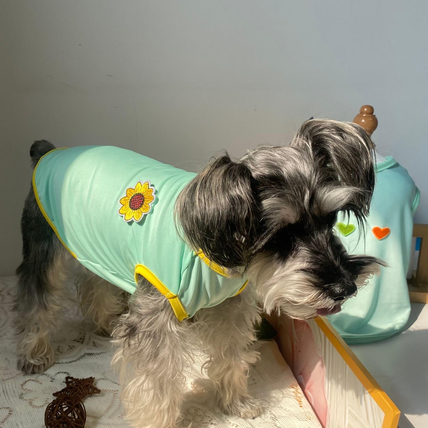 2Pcs Flower Printed Summer Dog Shirts For Small Medium Pet T Shirt Girl Boy Clothes Soft Breathable