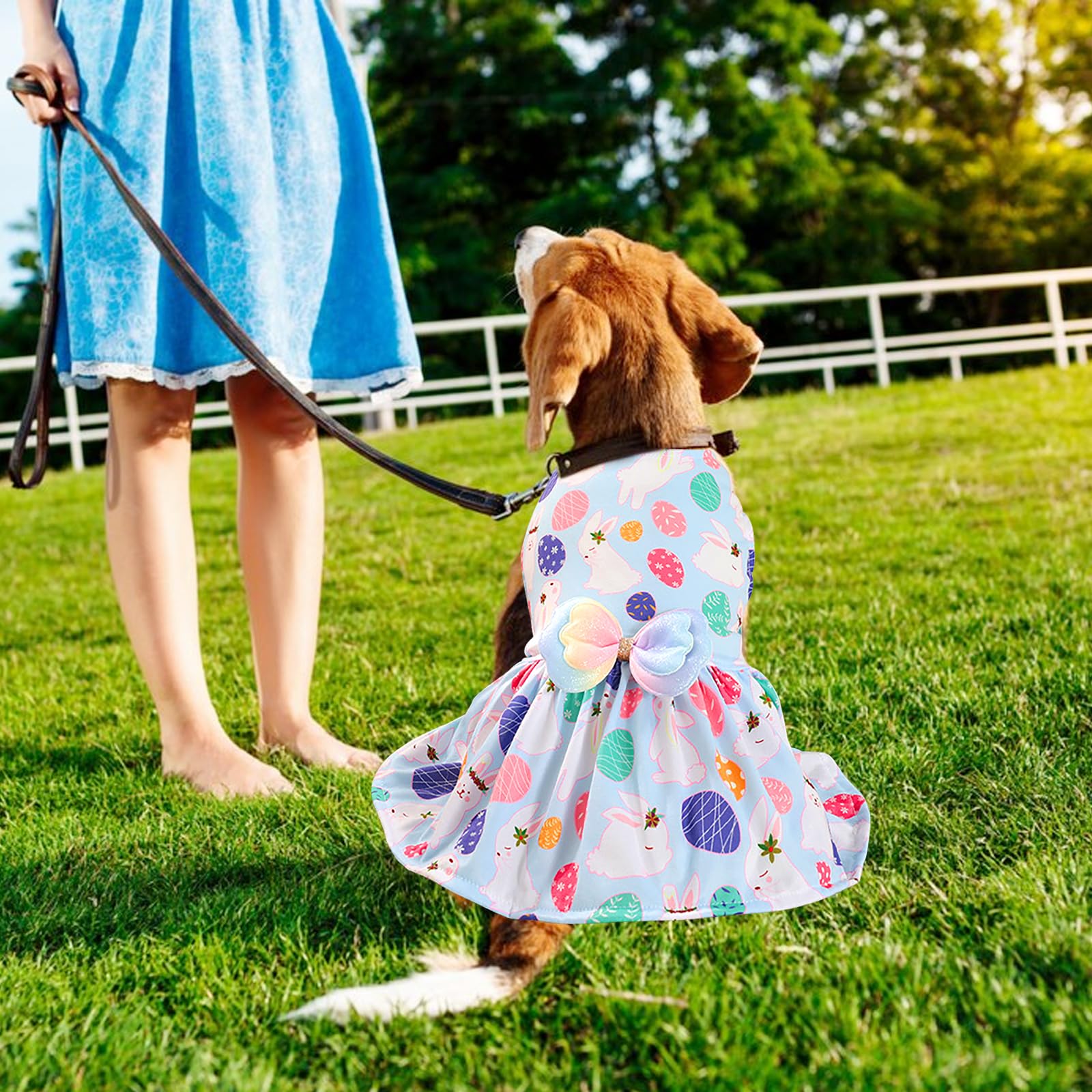 Easter Dog Costume Dress For Pets, Easter Bunny Pet Outfit Dogs Bow Clothes,Light Blue Puppy Skirt, Spring Dog Dress,Size M (17.