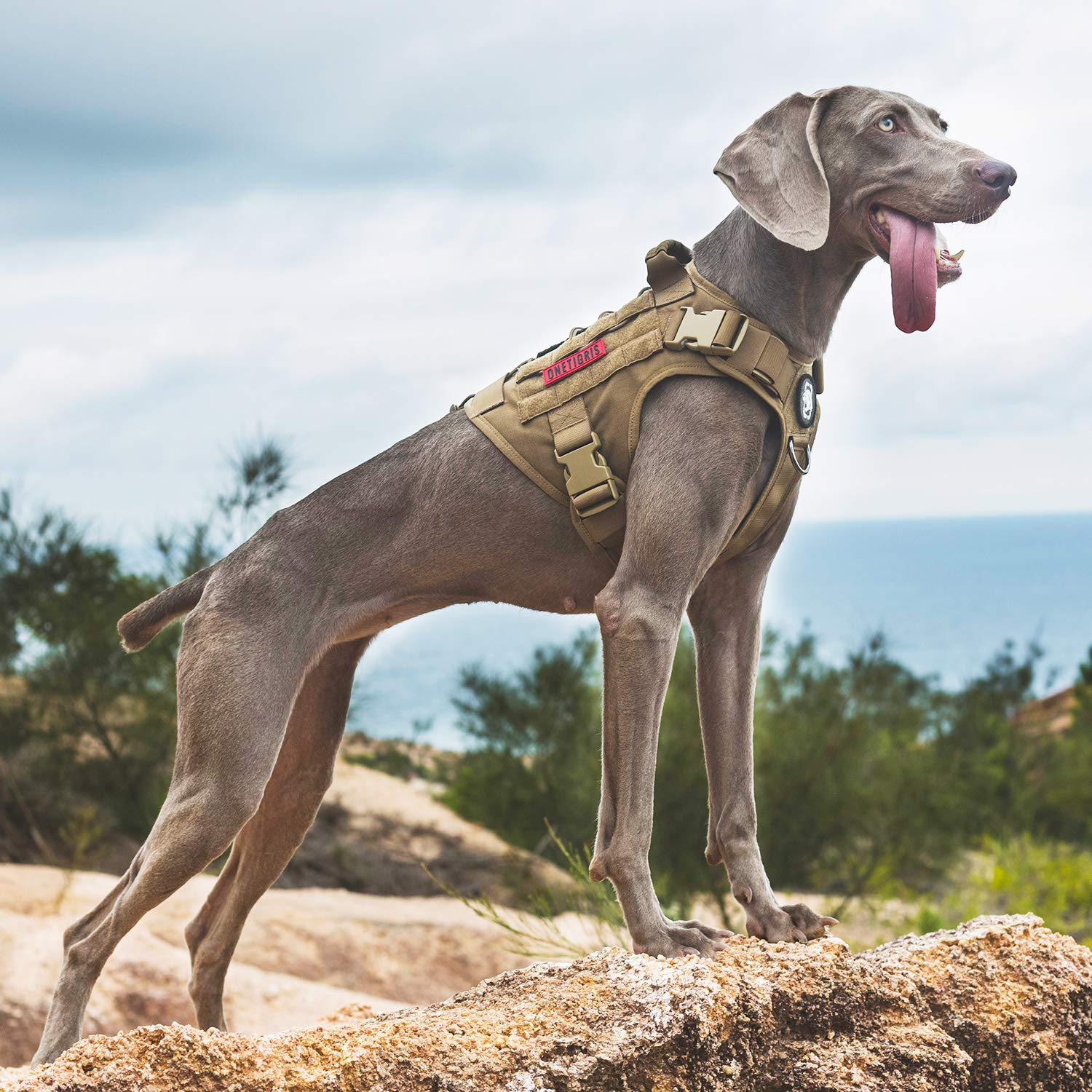 OneTigris Dog Harness,Tactical Dog Harness with Handle,No-Pull Service Dog Vest with Hook & Loop Panels,Adjustable Dog Vest Harn