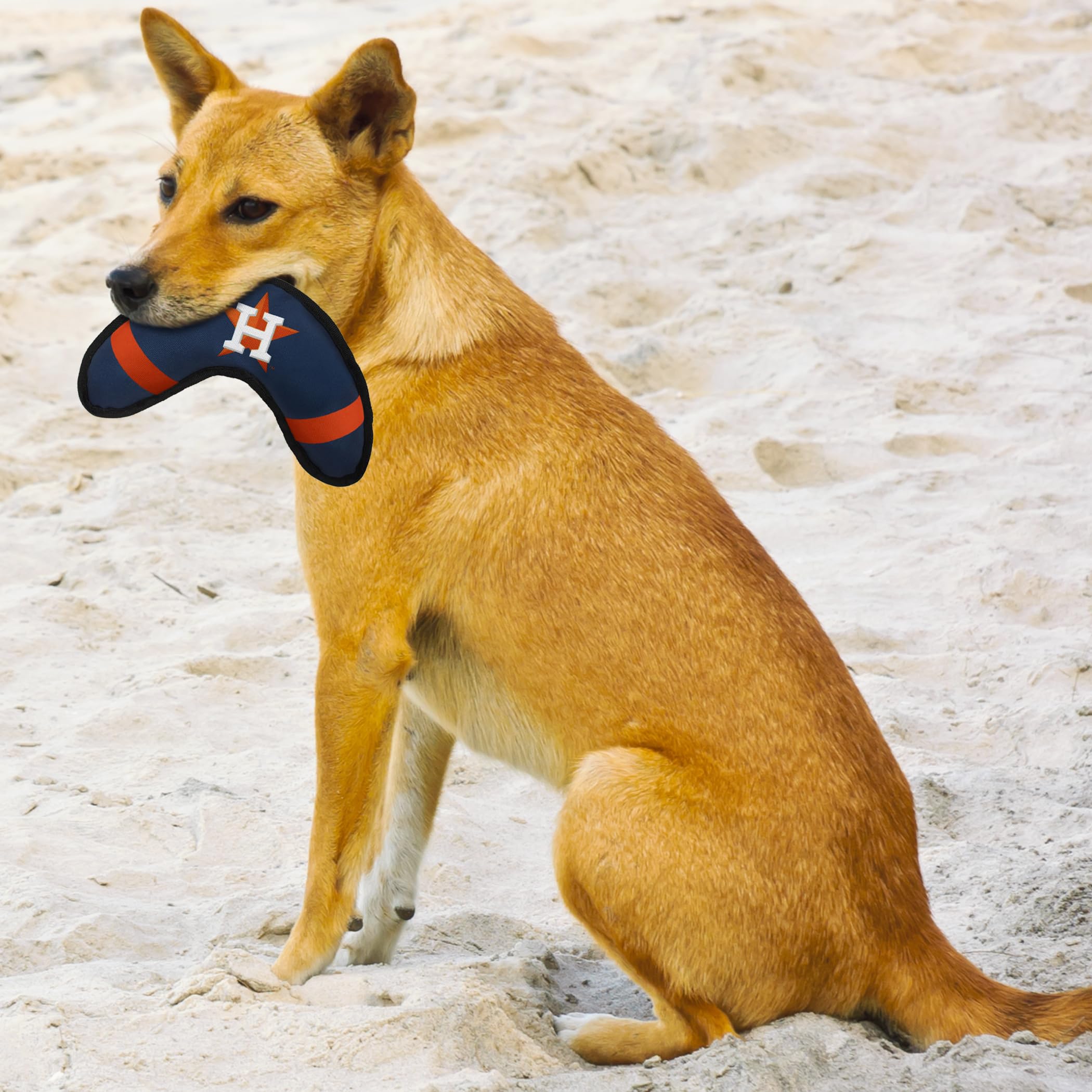 Pets First Mlb Houston Astros Boomerang Tough Nylon Toy For Dogs & Cats With Inner Squeaker.