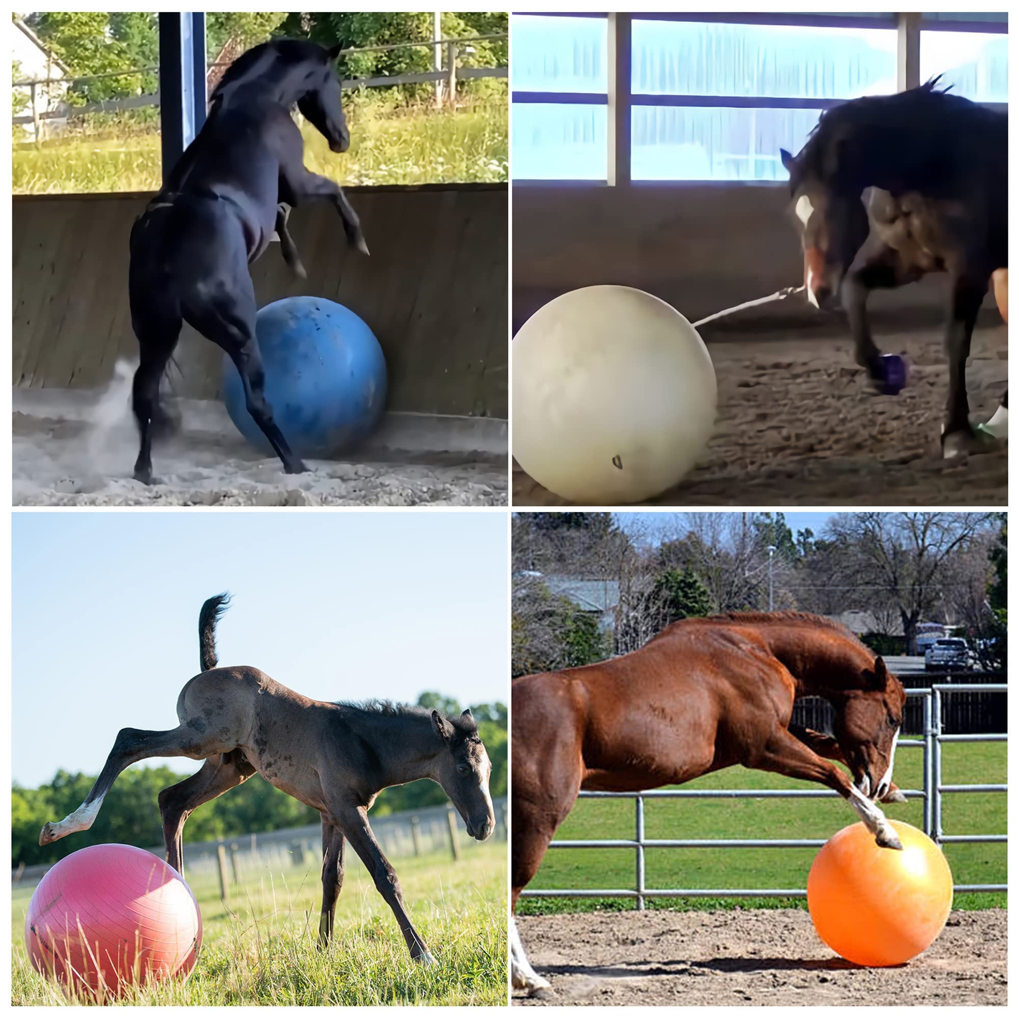 Herding Ball For Horse, 40' Anti-Burst Giant Soccer Ball Toy For Horses, Pump Included