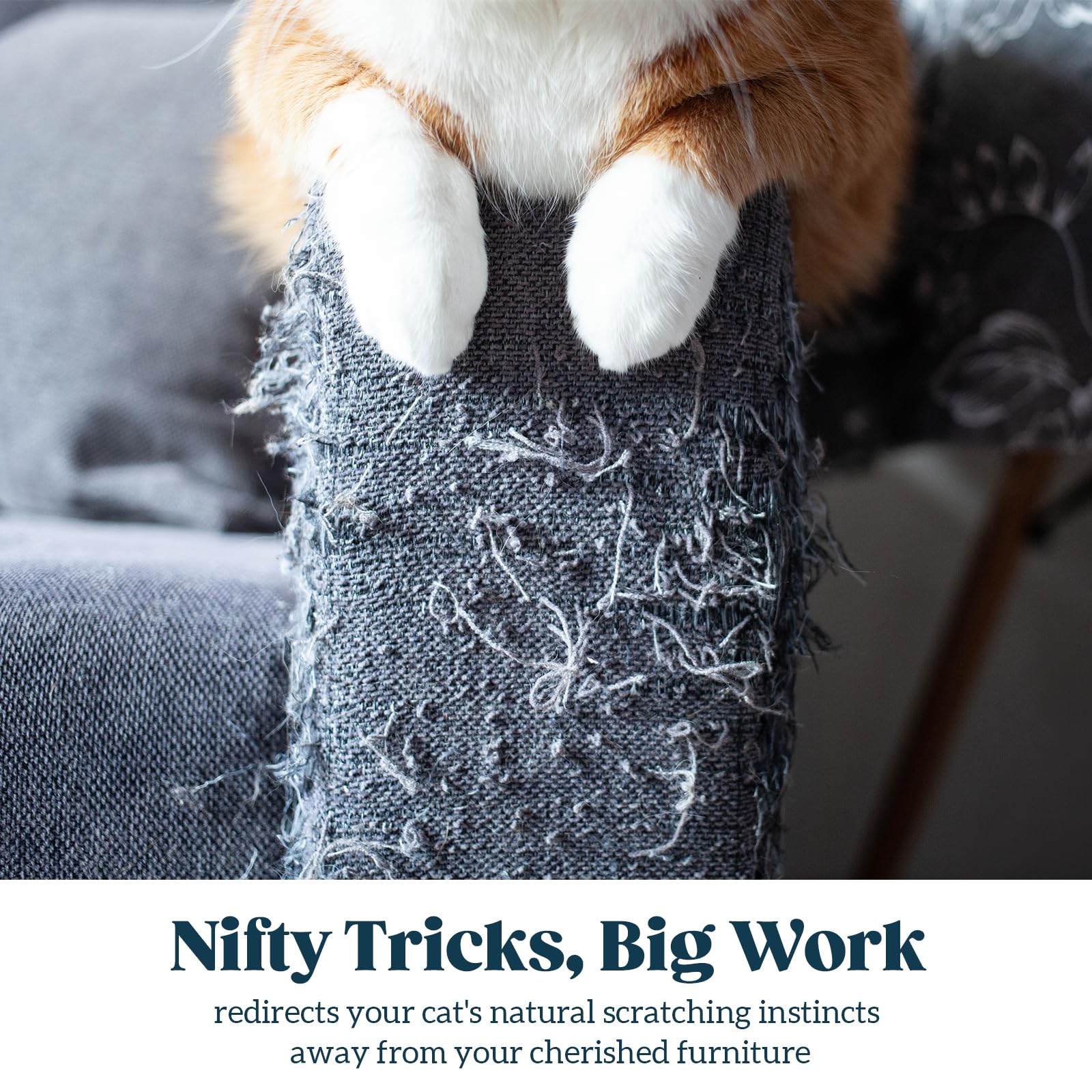 Pelzin Natural Sisal Rope for Cat Scratcher 1/4 Inch by 150 Feet, Cat Tree Rope Twine for Cat Scratching Post Replacement, Cat T