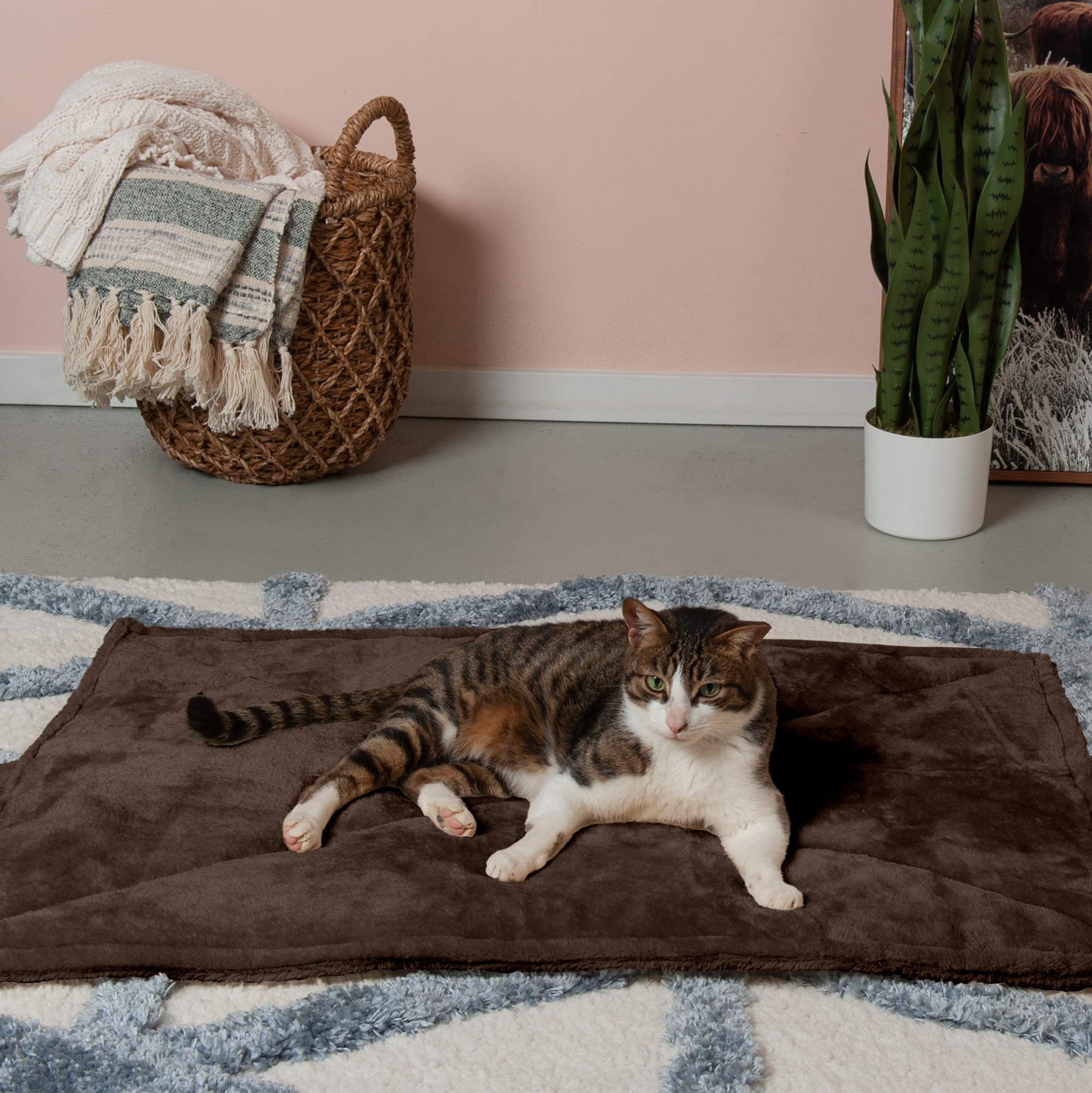 Furhaven Thermanap Self-Warming Cat Bed For Indoor Cats & Large/Medium Dogs, Washable & Reflects Body Heat - Quilted Faux Fur Reflective Bed Mat - Espresso, Large
