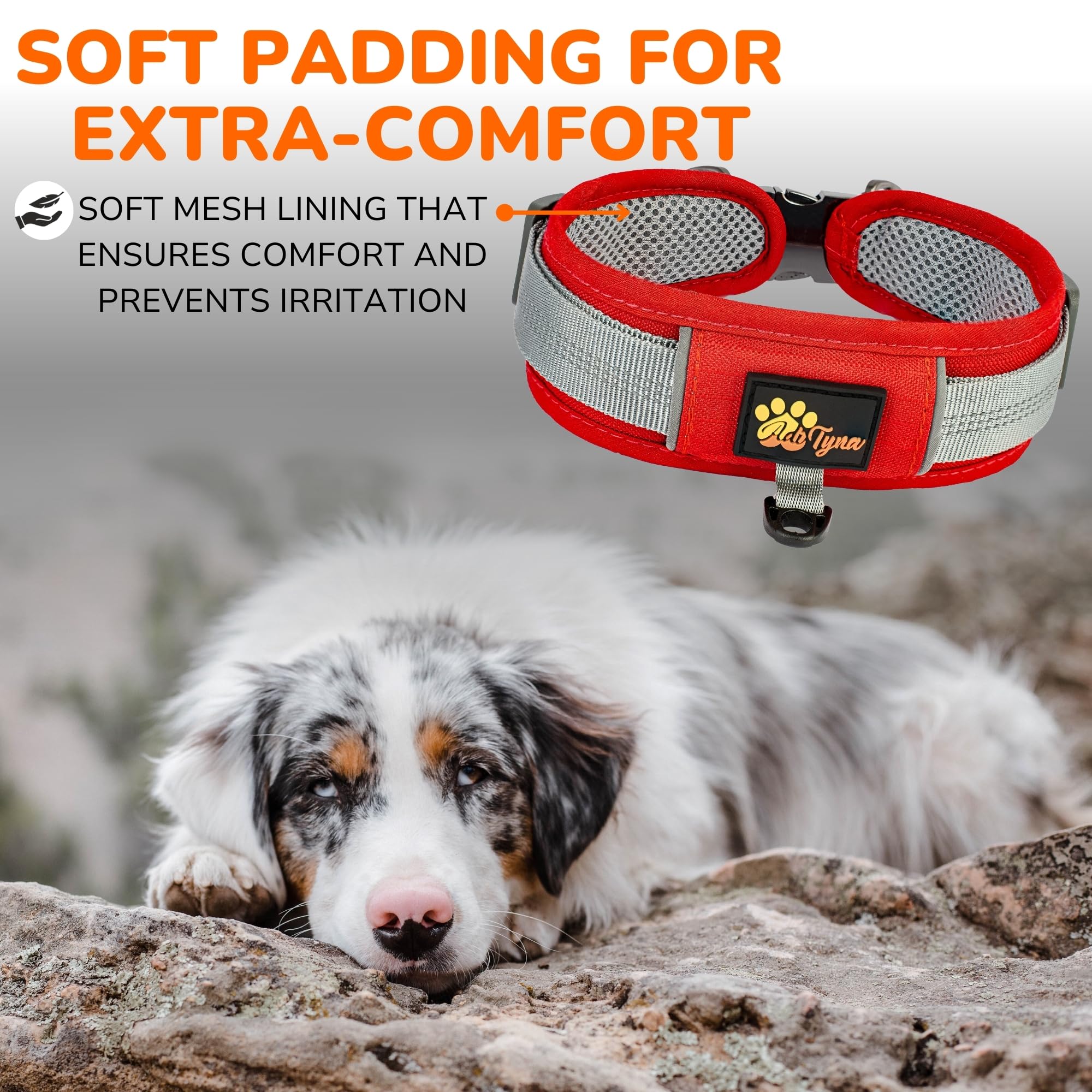 Durable 2-Inch Adjustable Dog Collar With Airtag Holder For Large Dogs - Reflective, Heavy-Duty Metal Buckle, Comfortable Mesh L