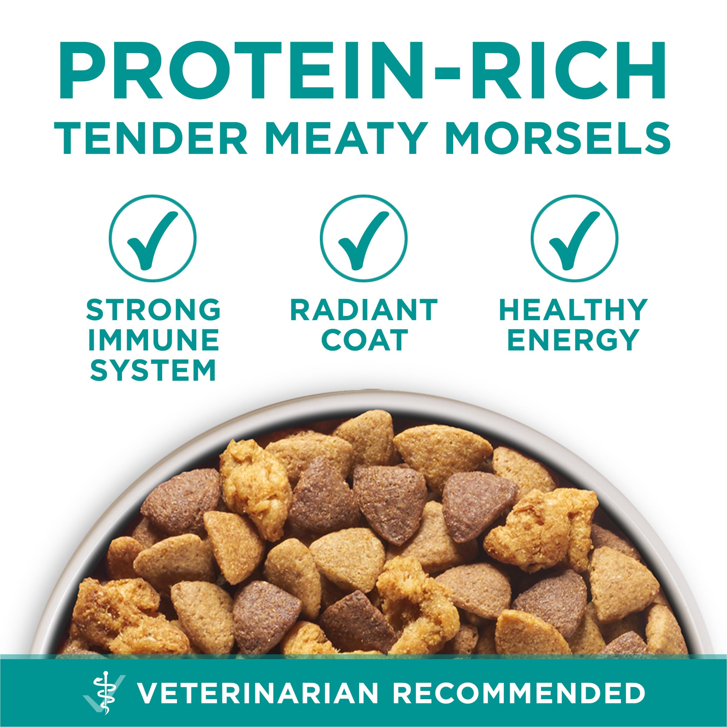 Purina One Plus Digestive Health Formula Dry Dog Food Natural with Added Vitamins, Minerals and Nutrients - 31.1 lb. Bag