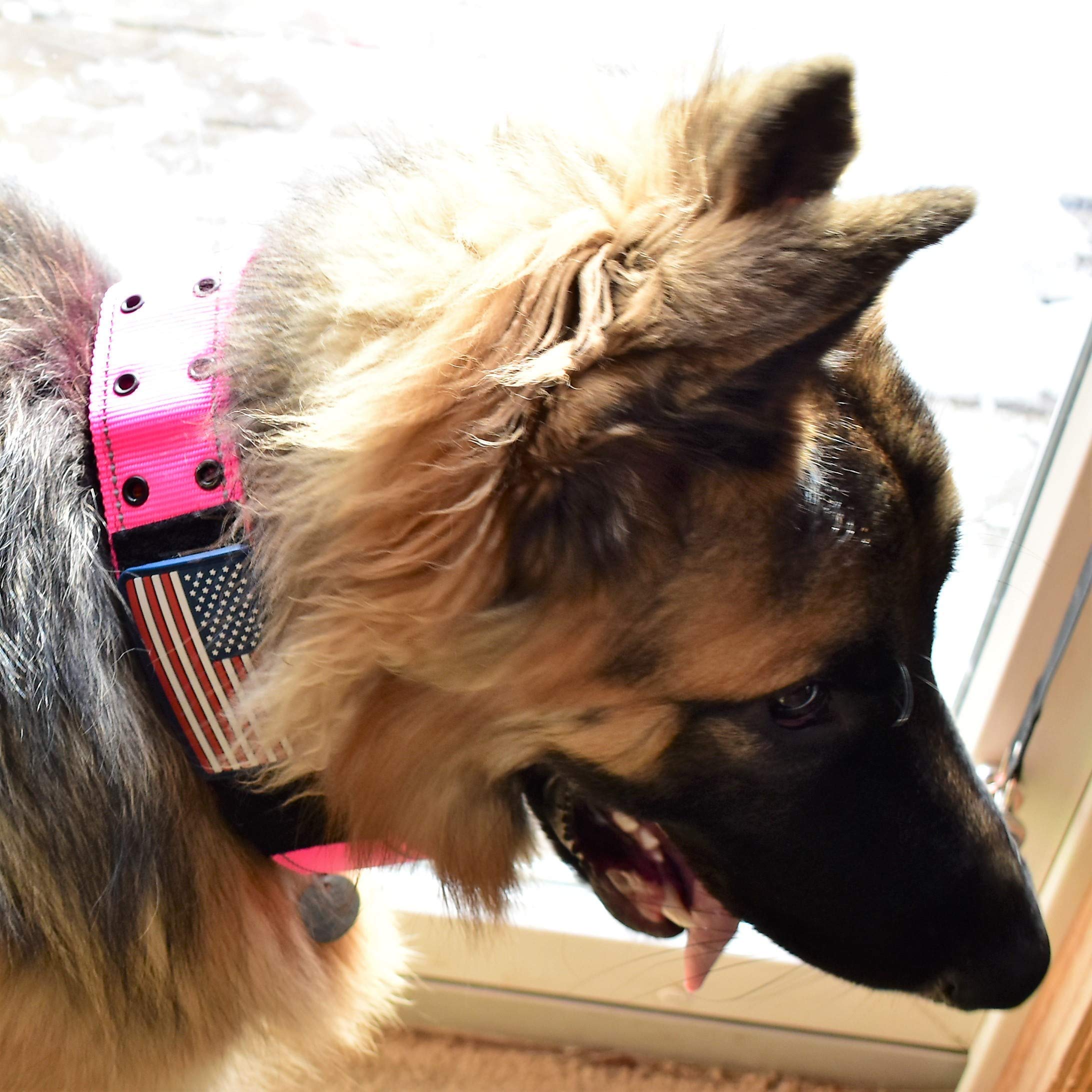 2' Personalized Tactical Dog Collar - Wide Thick Military Style With Strong Belt Buckle Closure - American Flag Patch - Reflective - Med And Xl Sizes For Large And Giant Dogs