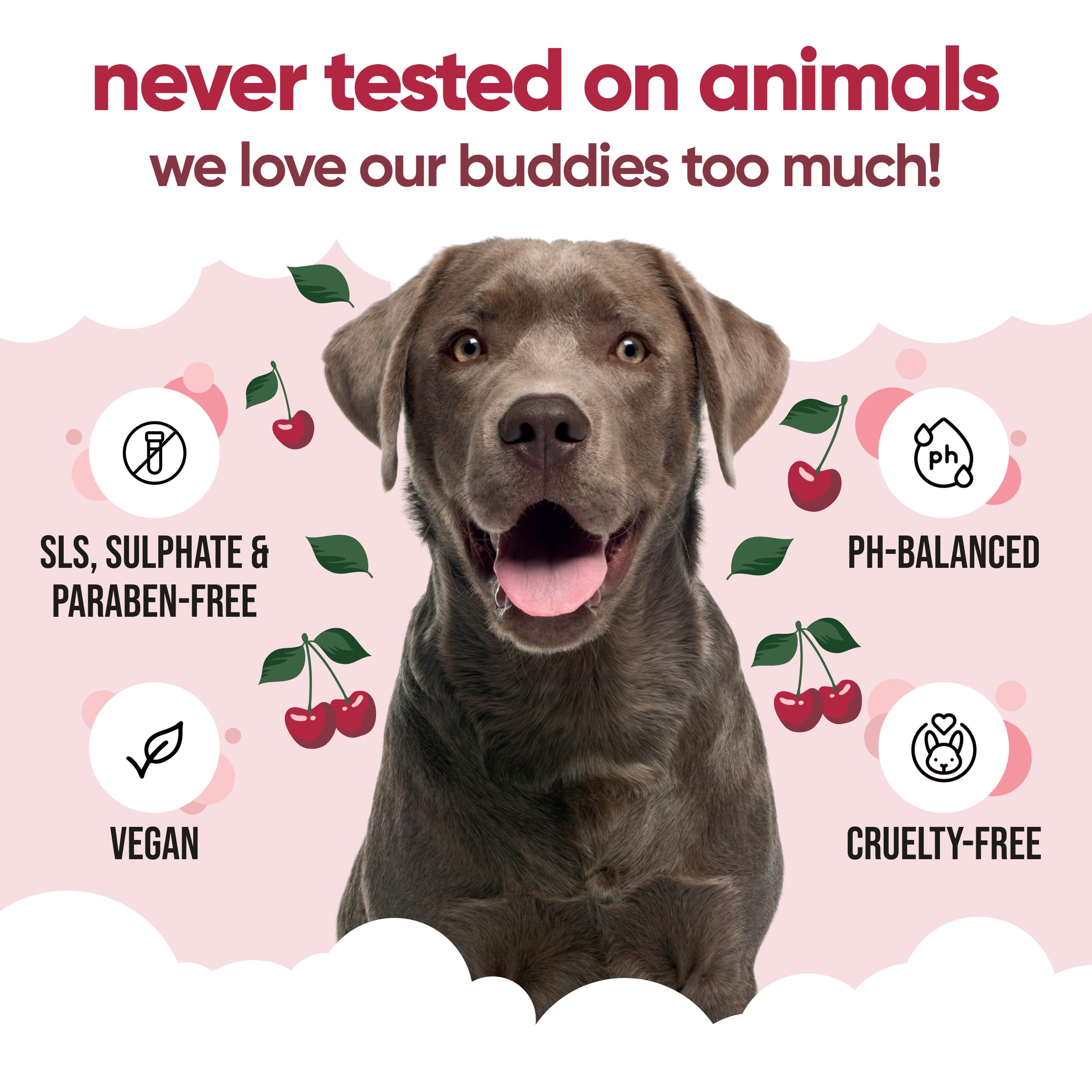 Black Cherry Dog Shampoo By Buddycare | Deep Cleansing Shampoo For Dogs | Black Cherry Scented | With Aloe Vera And Pro Vitamin