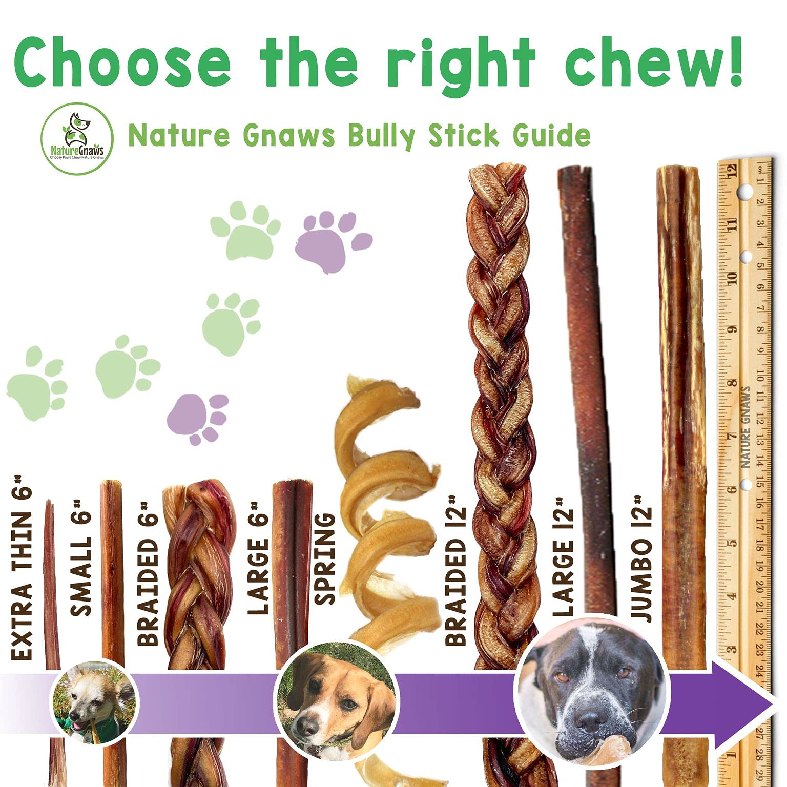 Nature Gnaws Small Bully Sticks for Dogs - Premium Natural Beef Dental Bones - Long Lasting Dog Chew Treats for Small Dogs & Pup