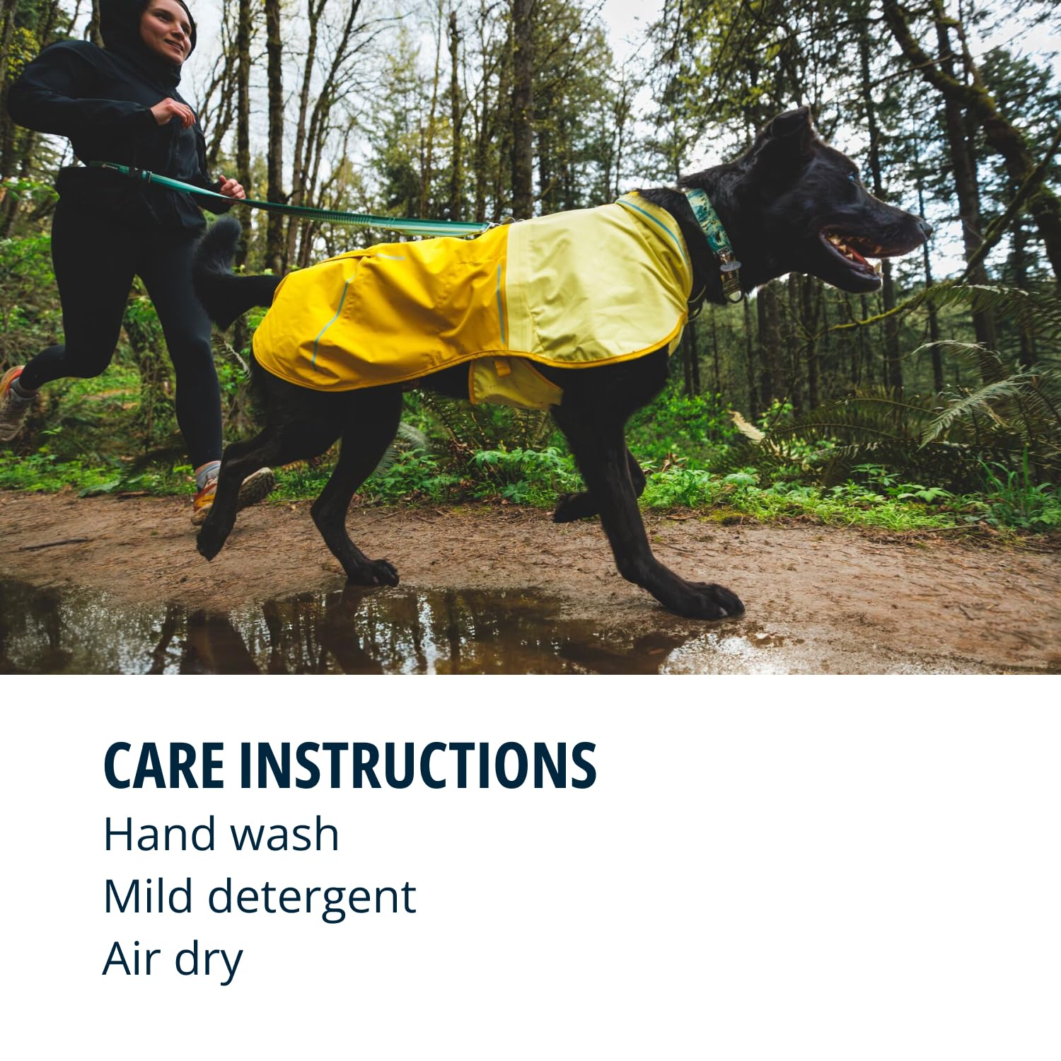 Ruffwear, Front Range Dog Collar, Durable And Comfortable Collar For Everyday Use, Spring Fade, 11'-14'