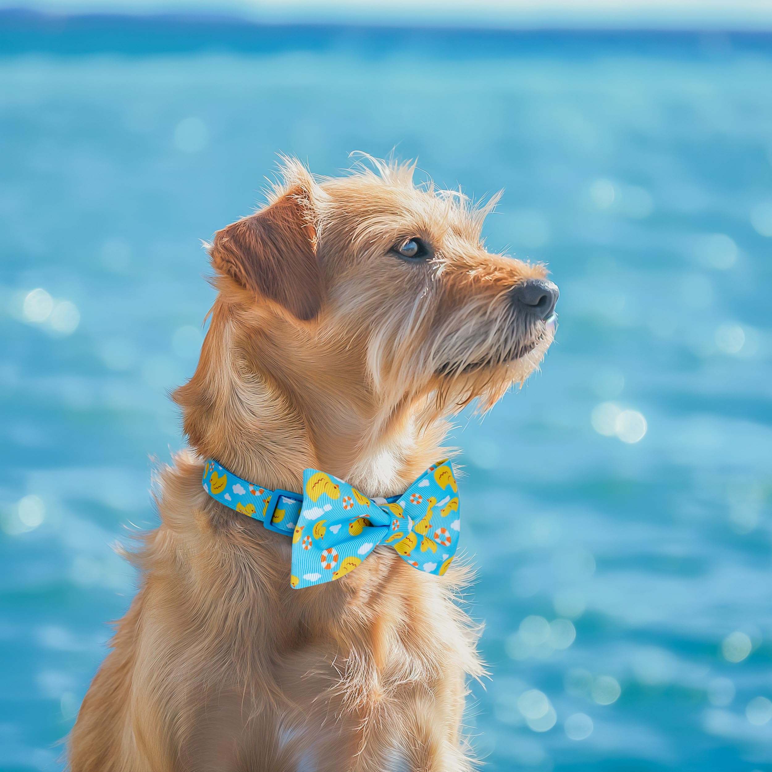 Azuza Dog Collar With Bow Tie, Soft And Comfortable Adjustable Bowtie Dog Collar For Small Dogs (S, Yellow Duck)