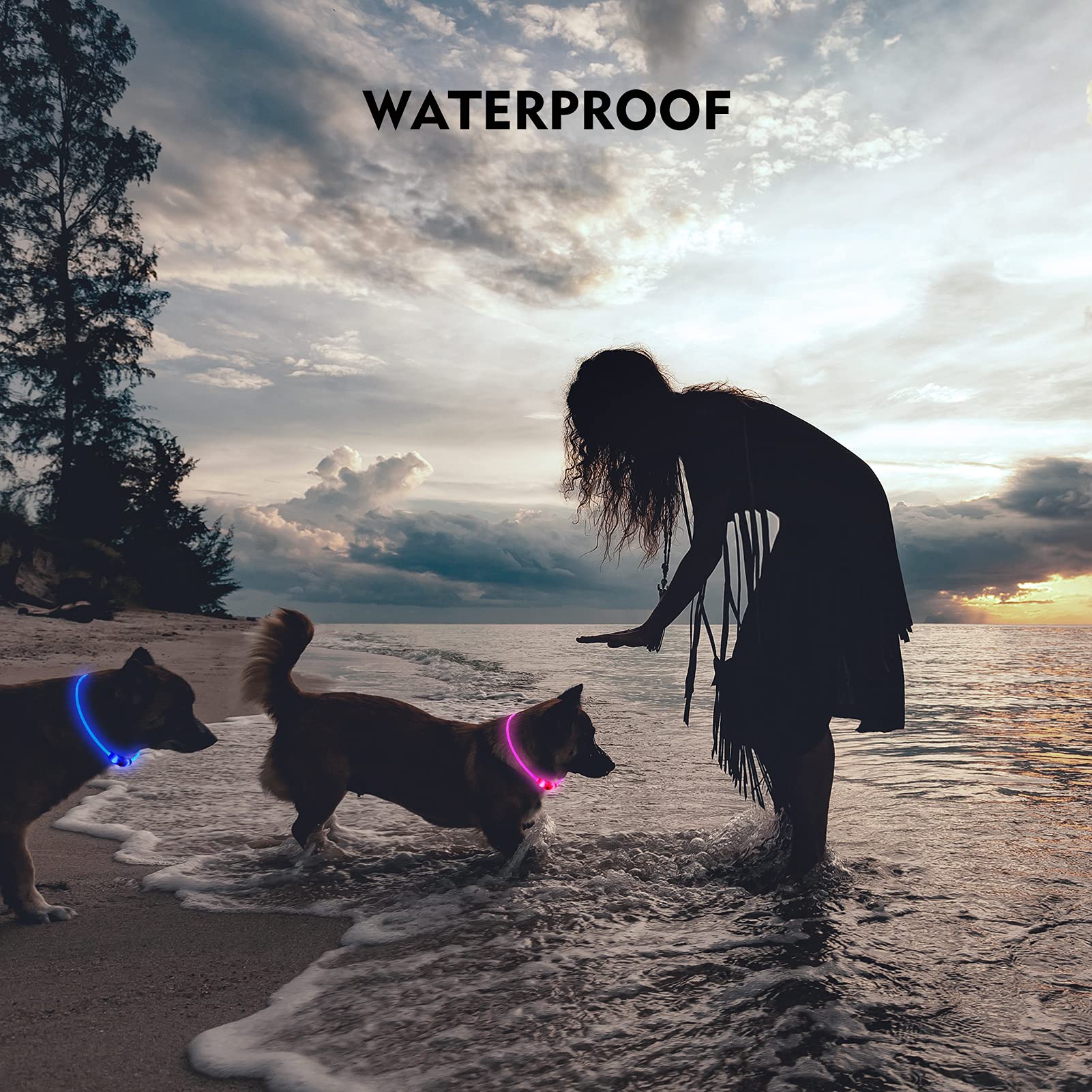 NOVKIN LED Dog Collar, Rechargeable Light Up Dog Collars,IP67 Waterproof Dog Lights for Night Walking,Adjustable, Reusable Safet