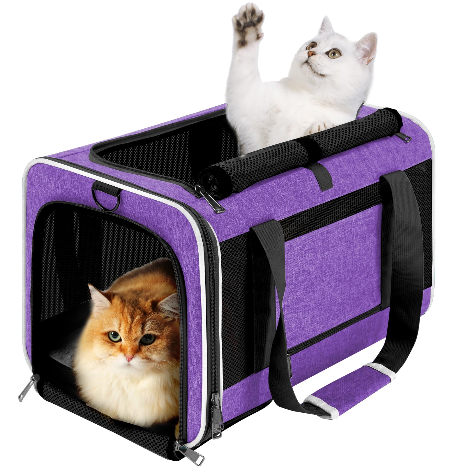 Gapzer Pet Carrier For Large Cat 20 Lbs+ / Soft Sided Small Dog 12 Pounds Travel Crate Top Load/Collapsible Kitty Carry Bag Big 