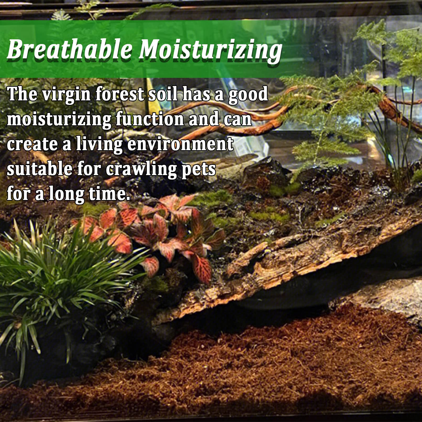 Bnosdm Reptile Soil Substrate Fluffy Small-Strand Reptile Substrate And Snake Bedding Clean Natural Terrarium Bedding For Lizard