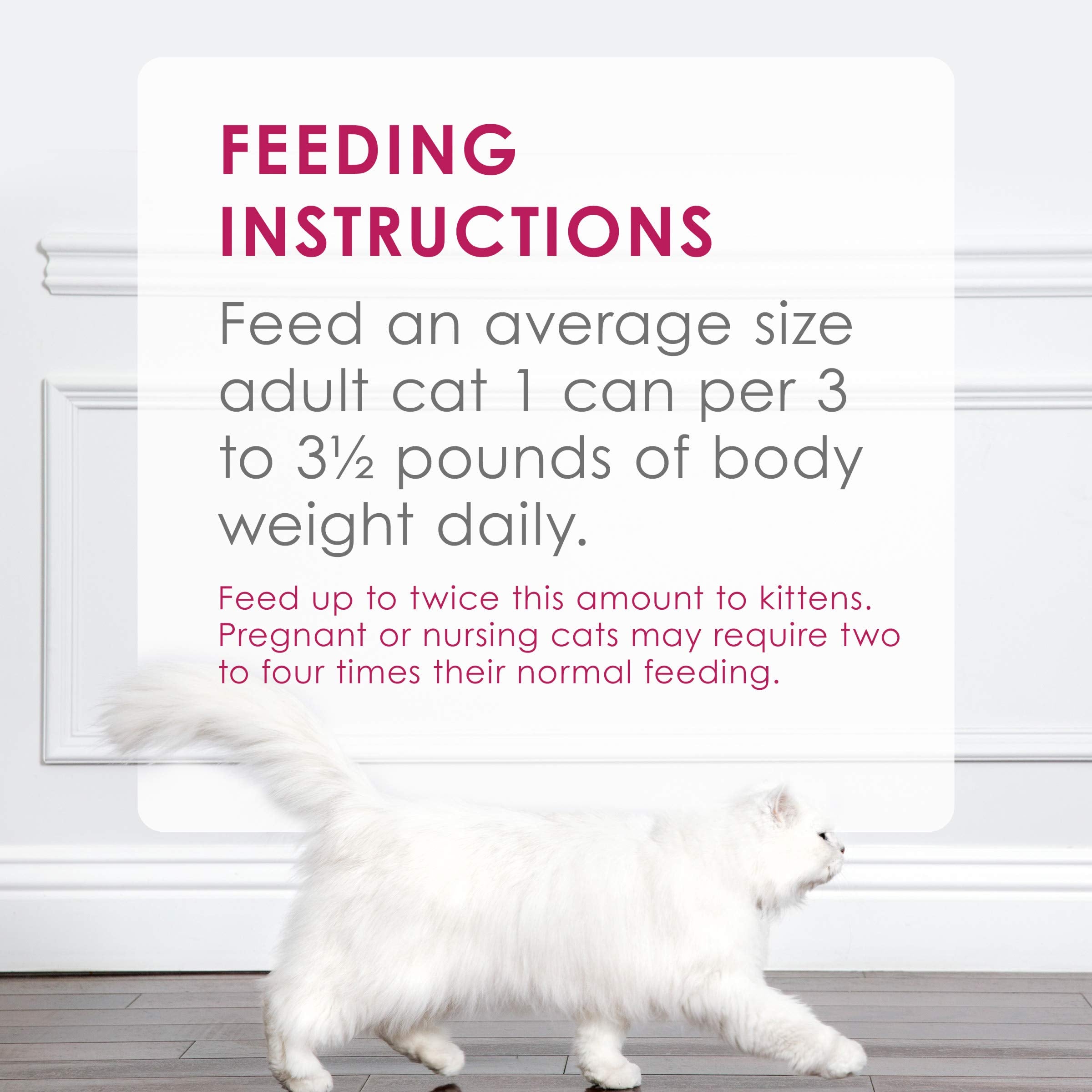 Purina Fancy Feast Chicken Feast Classic Grain Free Wet Cat Food Pate - (Pack of 24) 3 oz. Cans