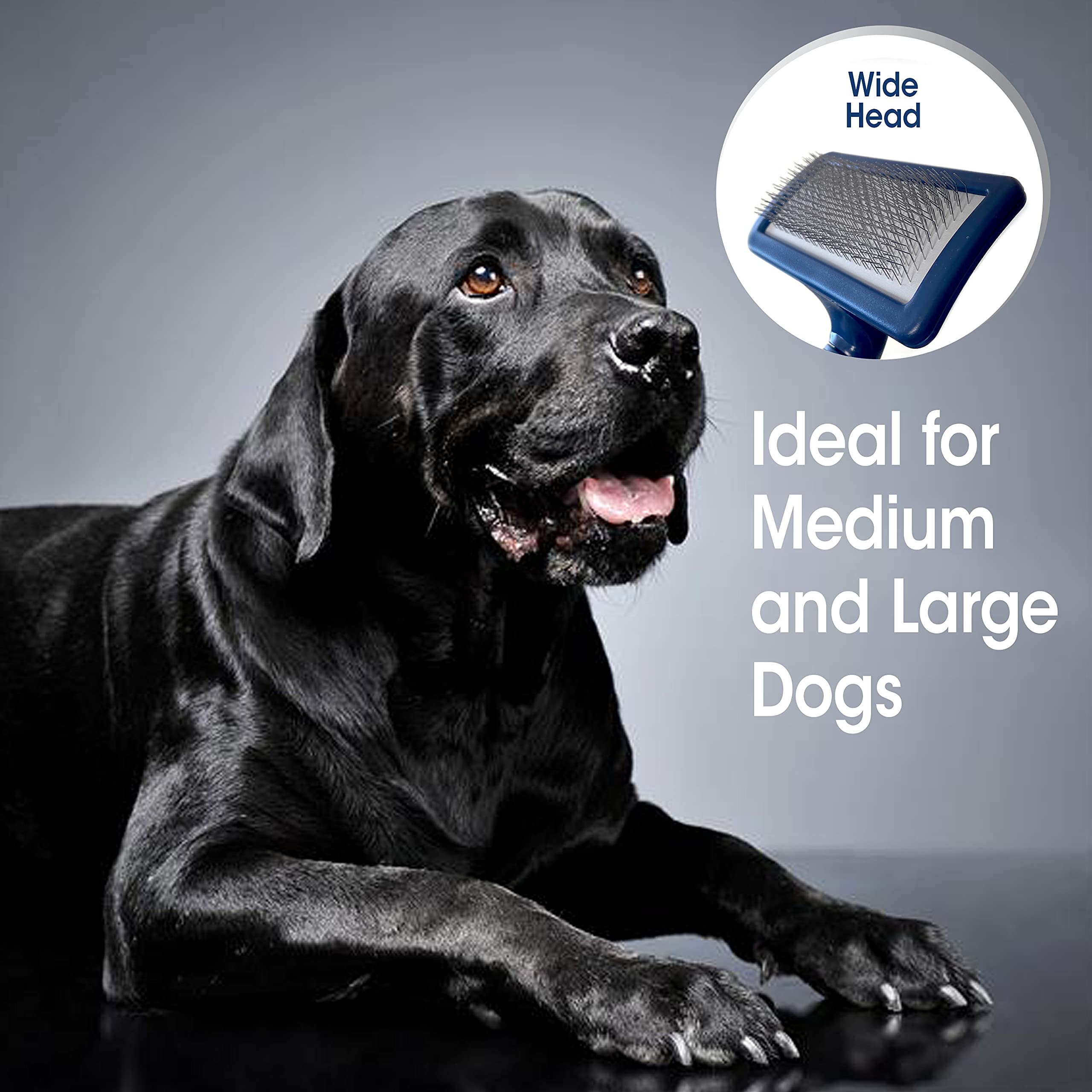 Four Paws Magic Coat Professional Series Grooming Brush For Dogs & Cats, Reduces Shedding, Stimulates Coat'S Natural Oils, Ergon