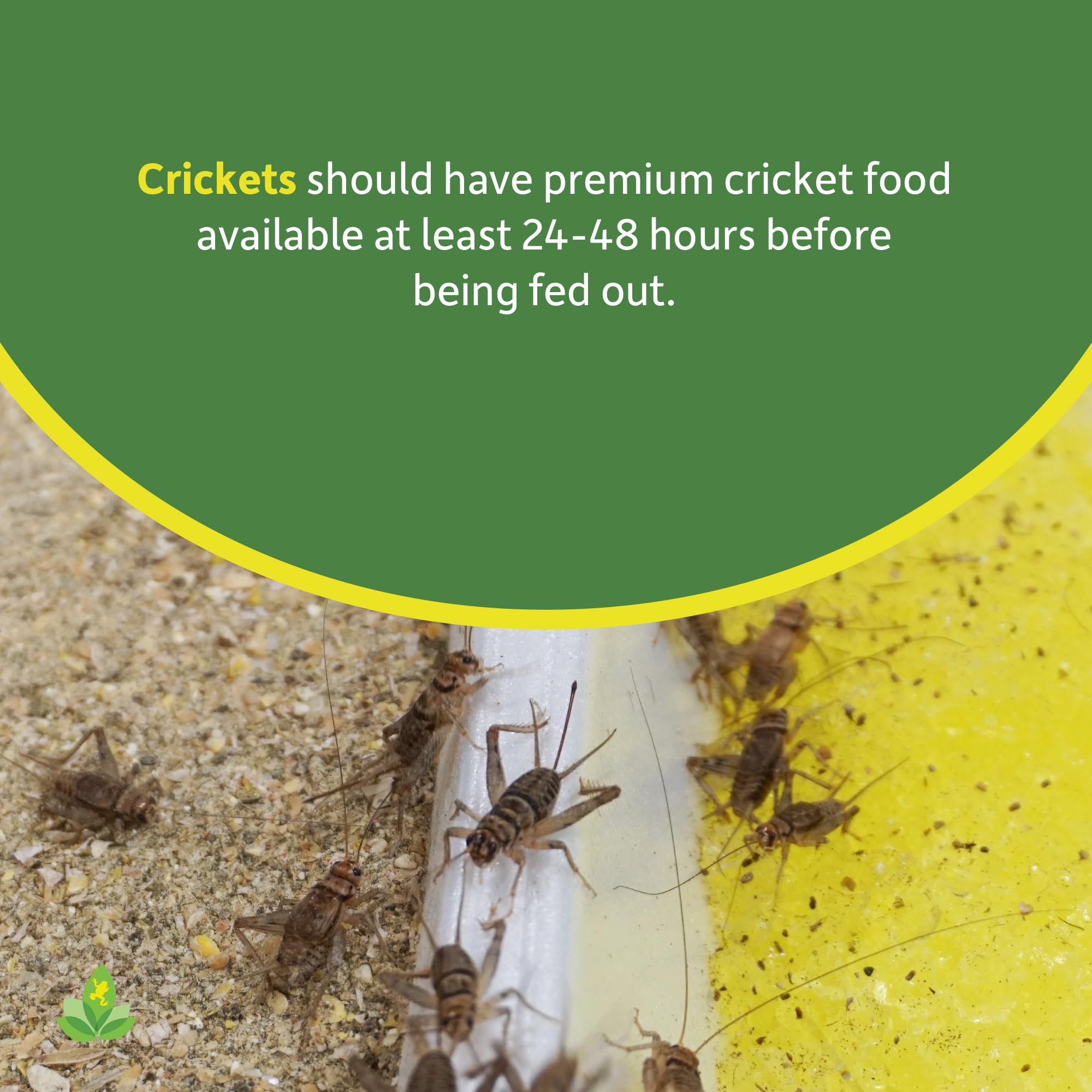 Joshs Frogs Premium Cricket Cuisine Cricket Gutloading Food (1 Gallon)