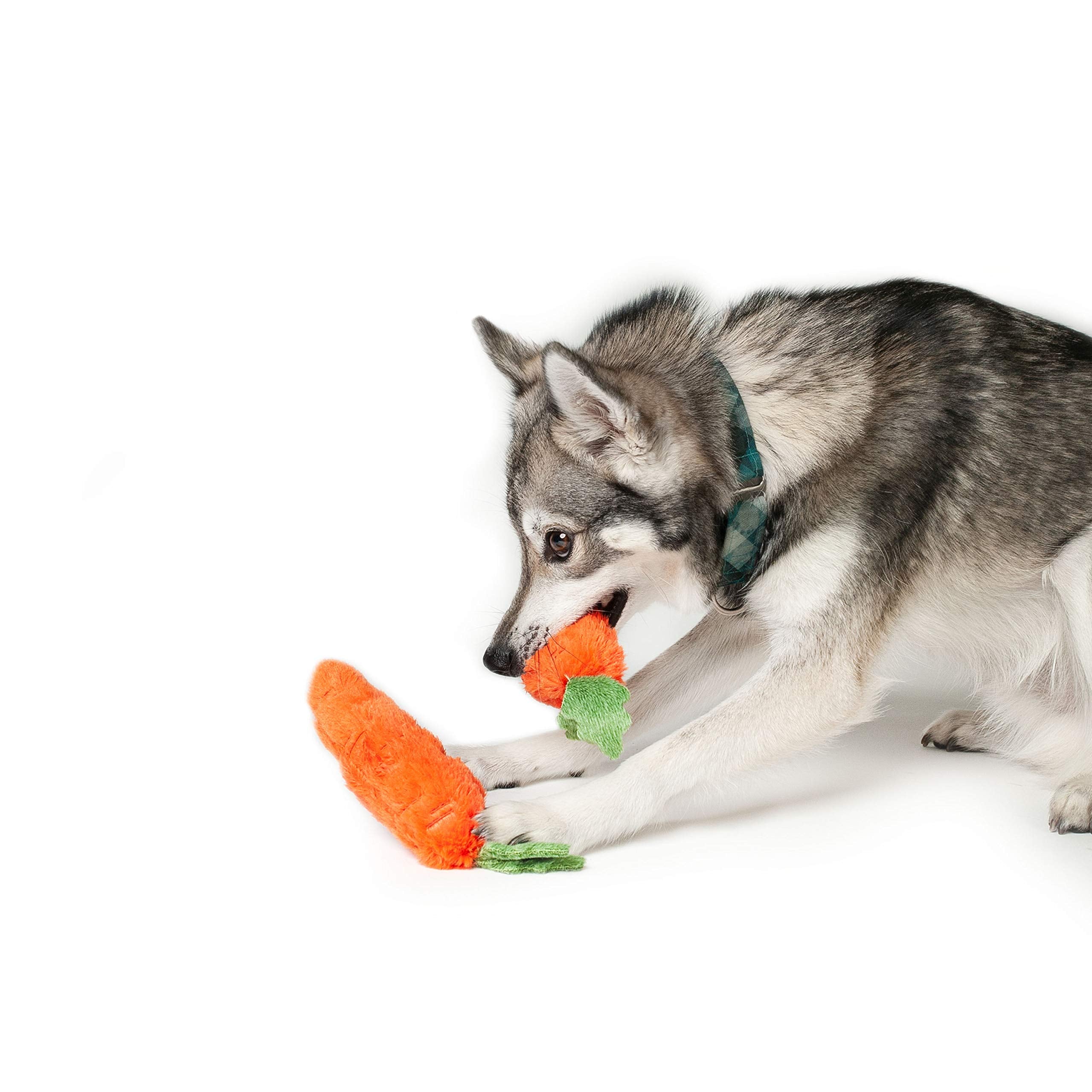 Midlee Plush Carrot Easter Dog Toy- Pack Of 2