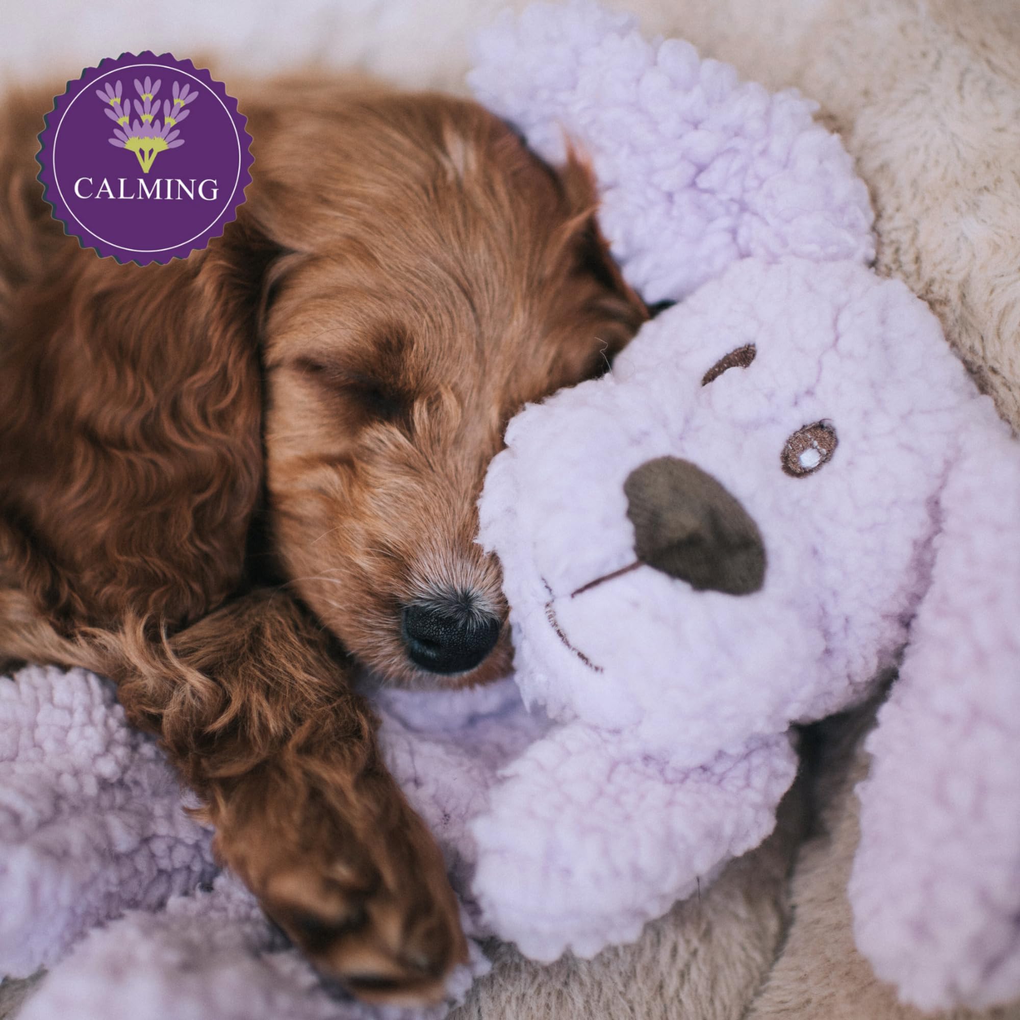 Aromadog Calm Fleece Plush Dog Toy, Calming Lavender Dog Toy For All Dogs, Lilac, 23Cm X 24Cm