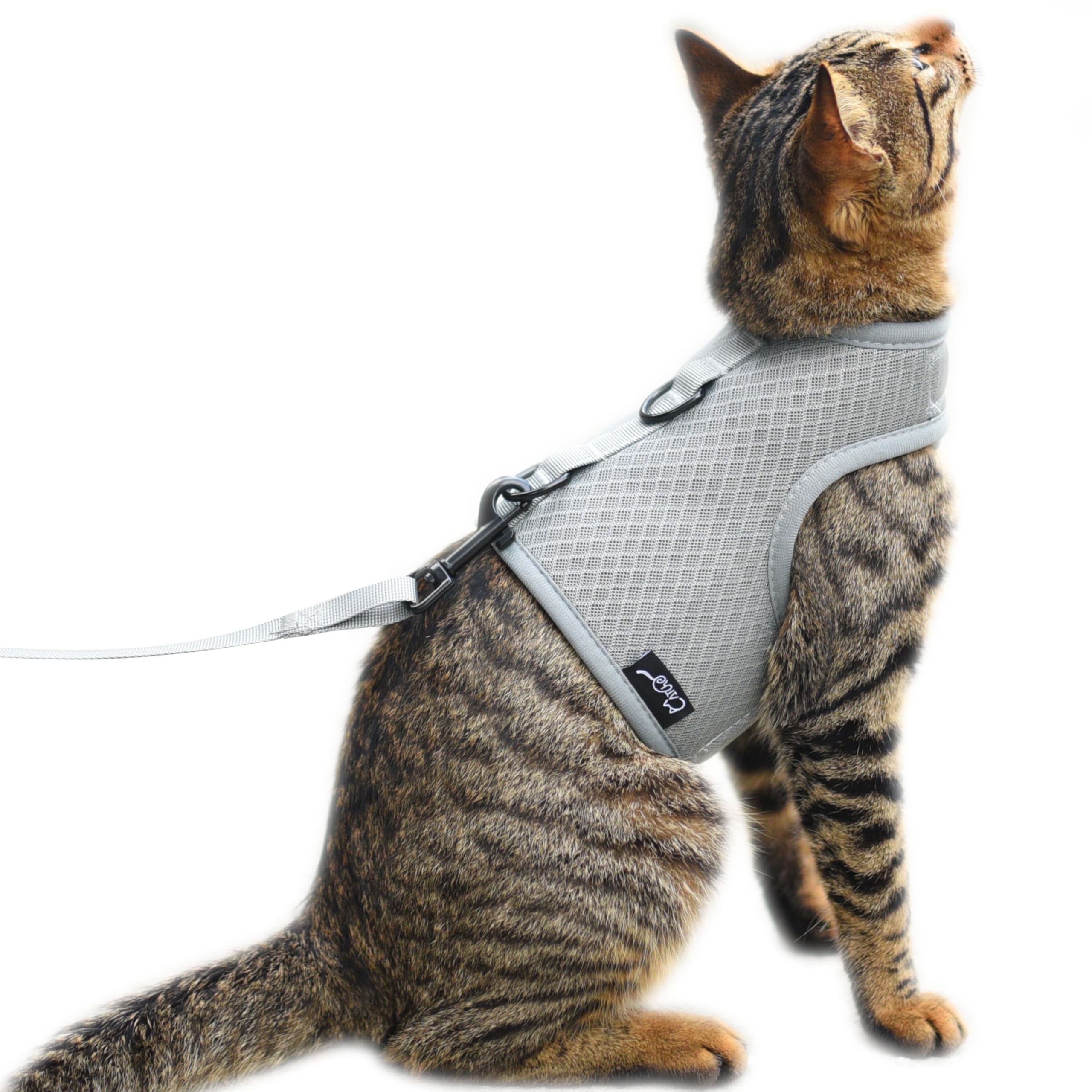 Cat Harness And Leash For Walking Escape Proof Breathable Mesh Fabric, Solid Grey, Extra Large, Adjustable Cat Walking Jackets, 