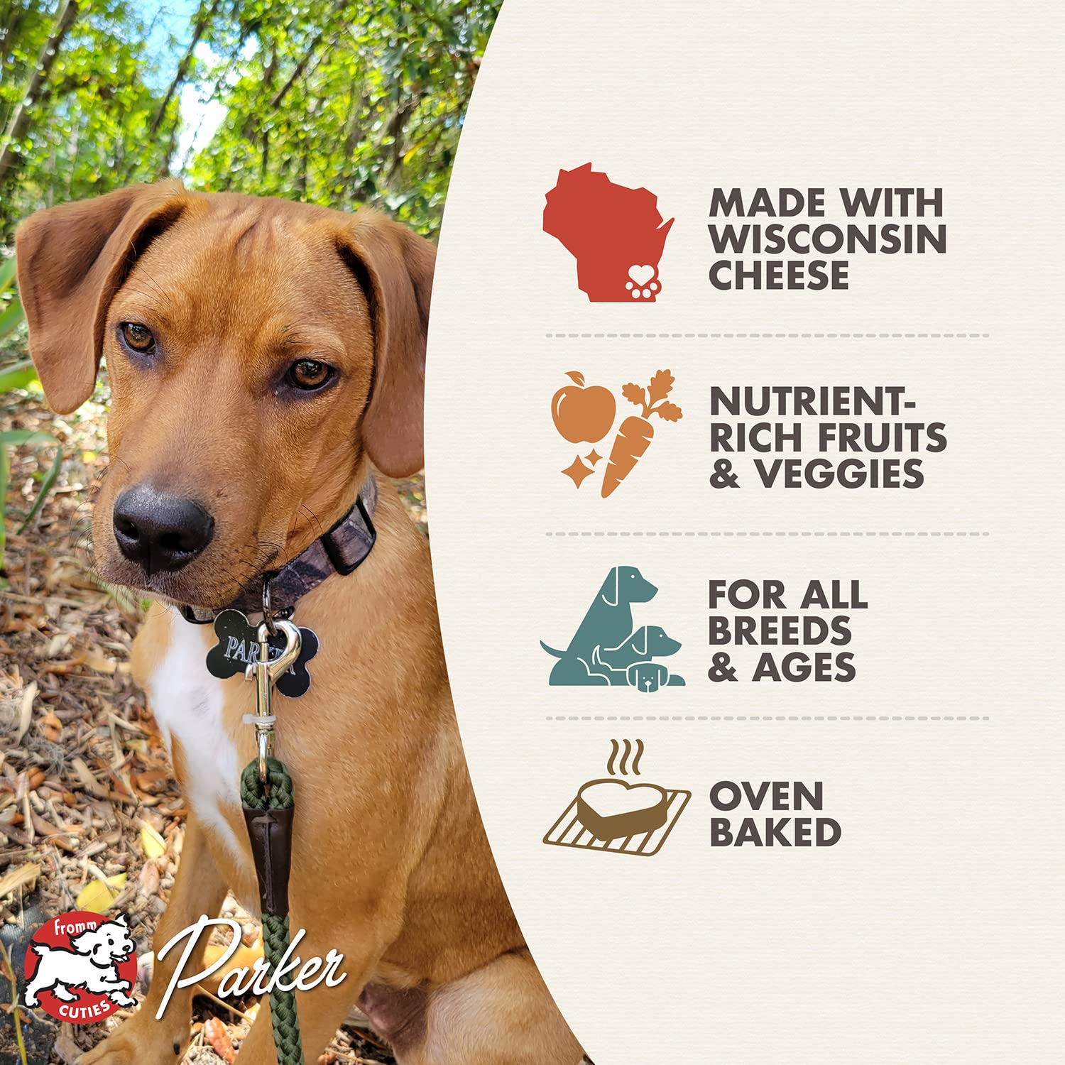 Fromm Four-Star Nutritionals Parmesan Cheese Dog Treats - Premium Oven Baked Dog Snacks - Cheese Recipe - 8 oz