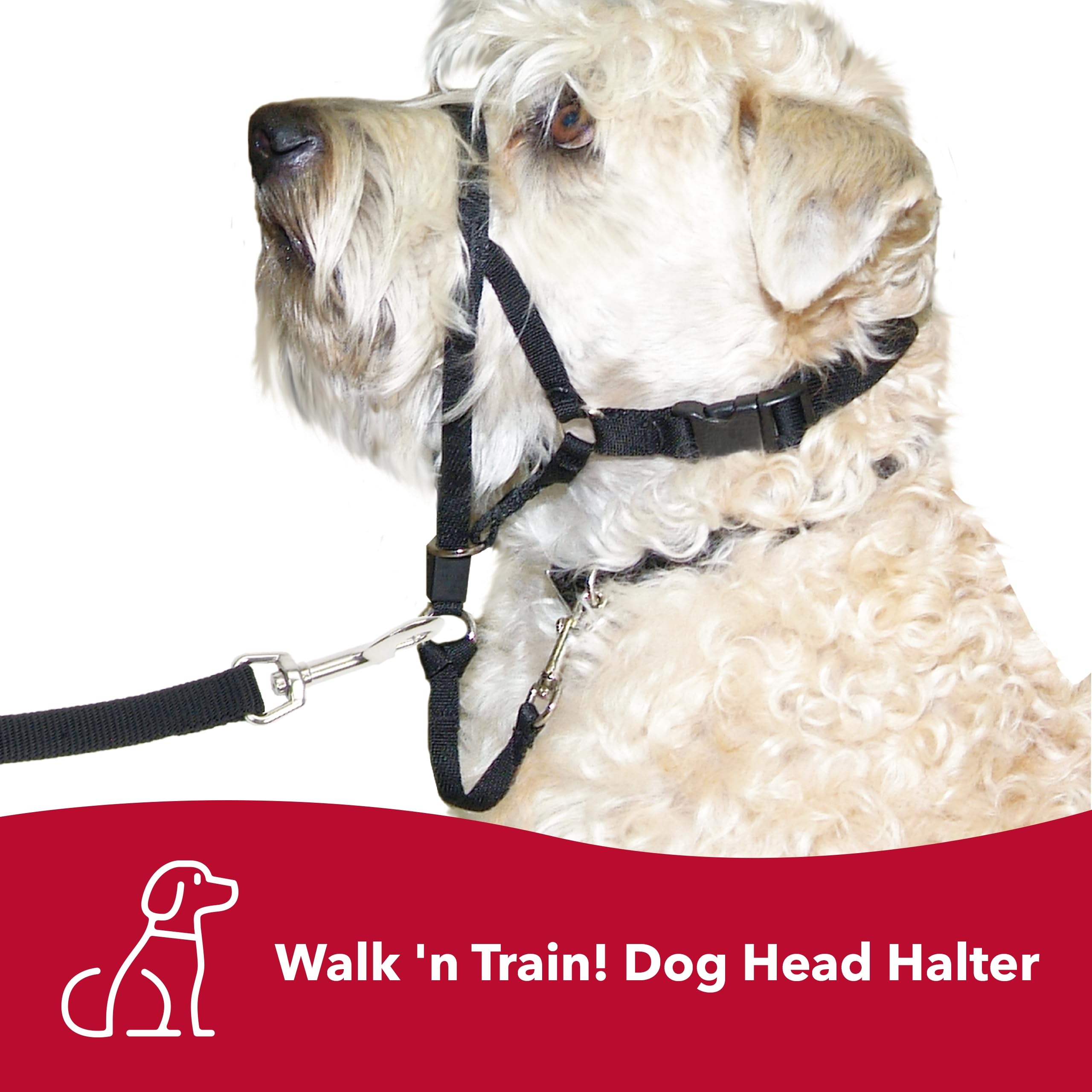 Coastal Pet Walk 'N Train Dog Head Halter - Head Colllar Dog Leader - No-Pull Pet Harness - Quick-Drying Polyester - Black - Medium