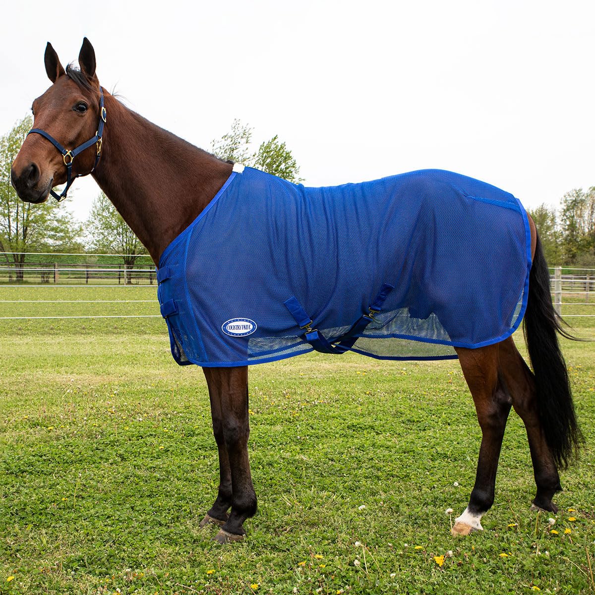 Country Pride Fitted Scrim Fly Sheet (Blue, Small 70-72'')