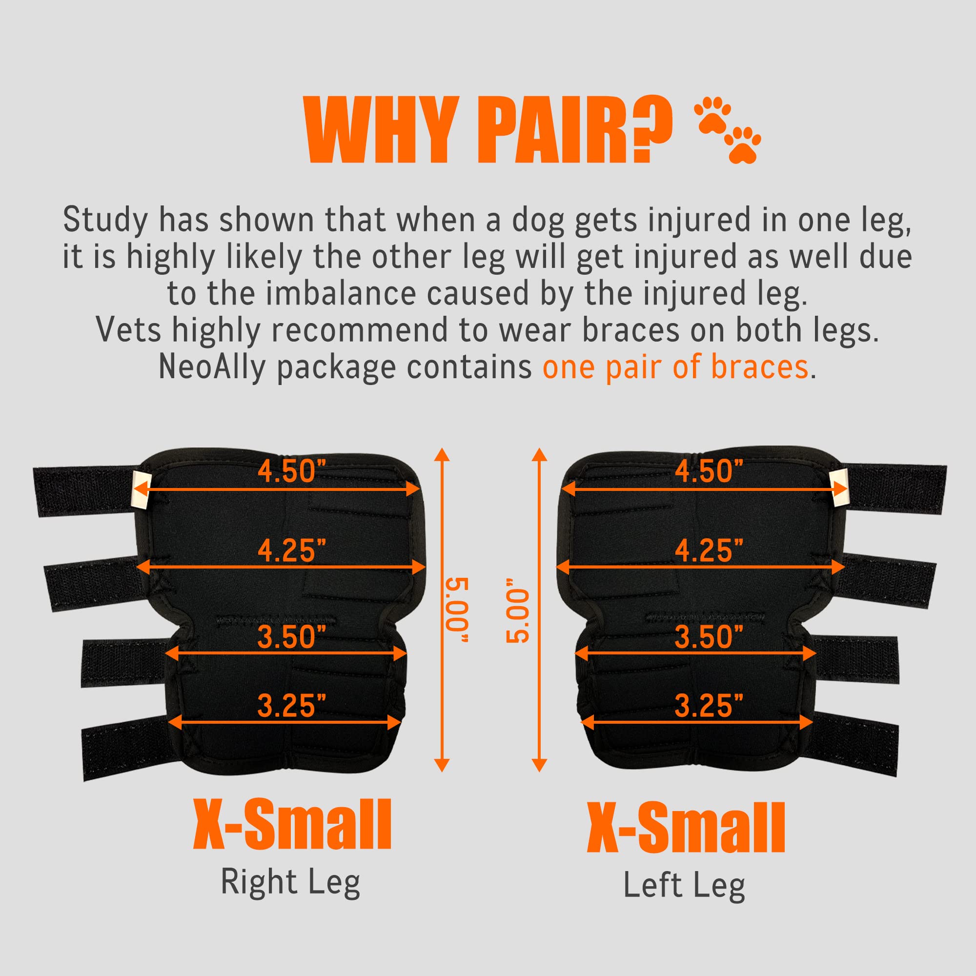 NeoAlly - Rear Leg Hock Brace, Dog Leg Brace for Rear Leg, Hock & Ankle Support for Large Dogs, Dog Brace for Torn Acl and Ccl,