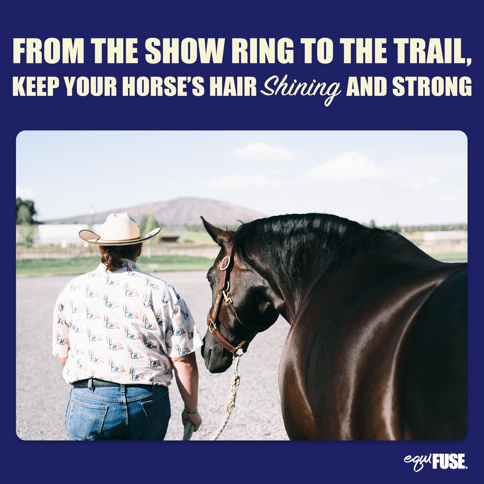 Equifuse Citracreme Deep Conditioner + Rehydrant For Horses | Improves Hair And Enhances The Look, Feel And Manageability Of Manes And Tails | 16Oz