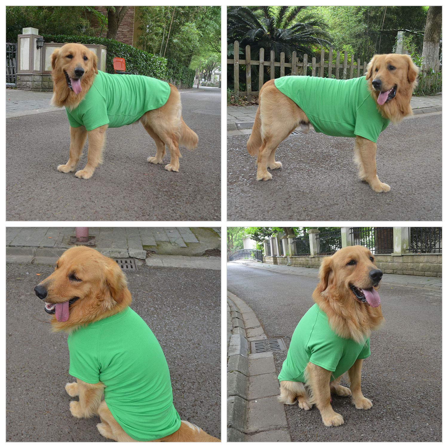Lovelonglong Pet Clothing Dog Costumes Basic Blank T-Shirt Tee Shirts For Small Dogs Green M