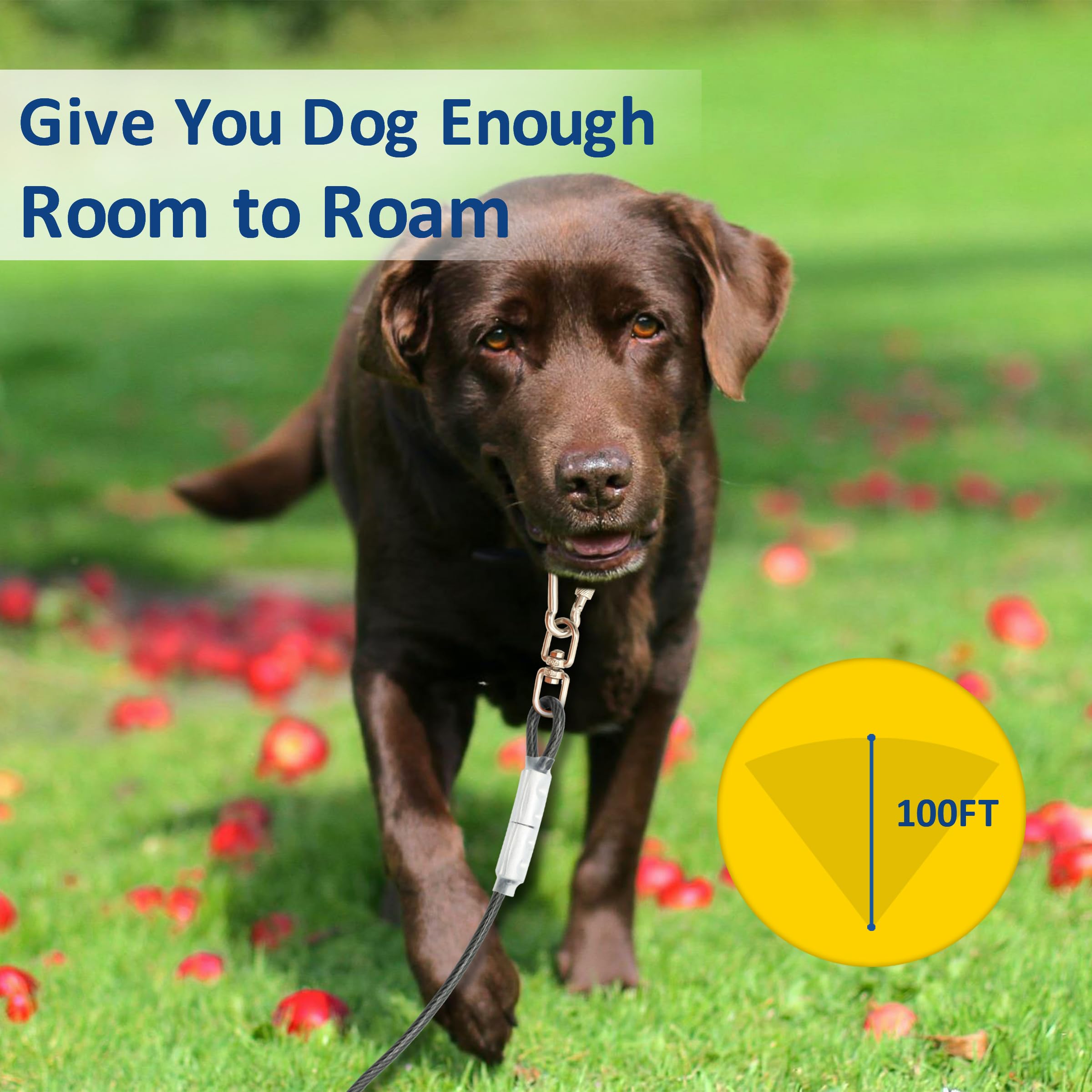 Myaxbd 100Ft Heavy Duty Dog Tie-Out Cable - 100 Ft Extra Long Leash & Dog Chain For Large Dogs, Durable Tangle-Free Runner Cable